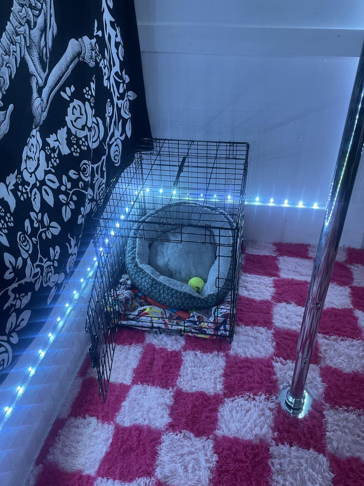 Amazon Basics Portable, Foldable Metal Wire Dog Crate with Removable Tray, Divider Panel, Easy to Assemble, for Large Dogs, 48 x 30 x 32.5 in, Black customer photo 2