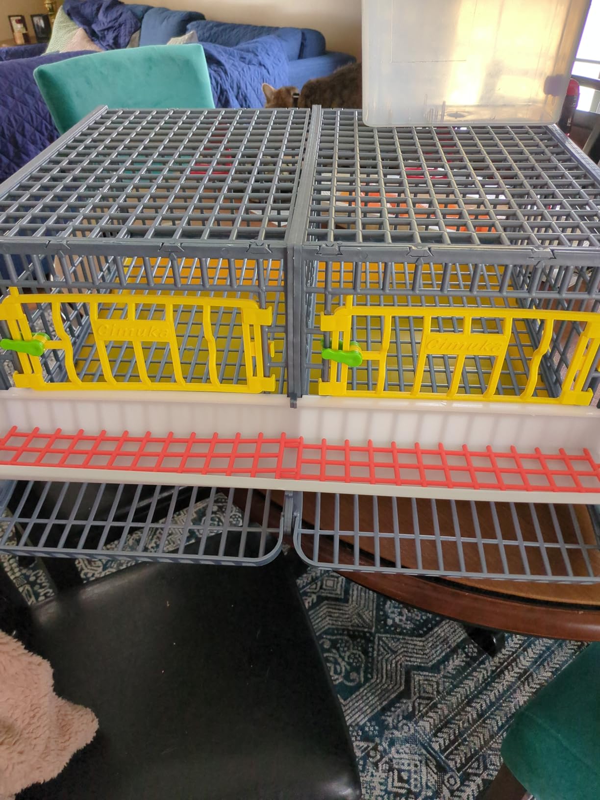 Hatching Time Quail Breeding Cage Indoor - 2 Section Coop, Easy Clean, Rust-Free PP Plastic, Removable Middle Wall, Comfortplast Design for Breeding & Egg Collection by Cimuka customer photo 2