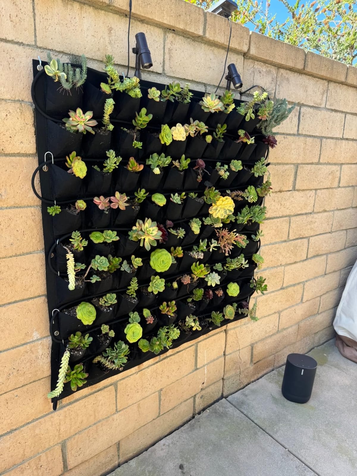 90 Pockets Hanging Planter Bags, Hanging Vertical Wall Mounted Plant Planting Grow Bags, Herb Garden Planter Outdoor Indoor Growing Bag, Gardening Vertical Greening Flower Container (1.1m×1.1m, Black) customer photo 2