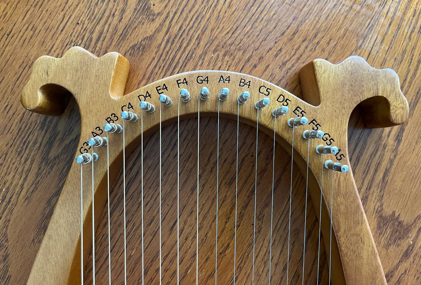 Lyre Harp, 16 Strings Mahogany Acoustic Lap Harp for Adults Beginners | Extra Strings, Picks, Tuning Lever, Black Gig Bag, Beginner's Manual, Ideal Gift for Music Lovers customer photo 1