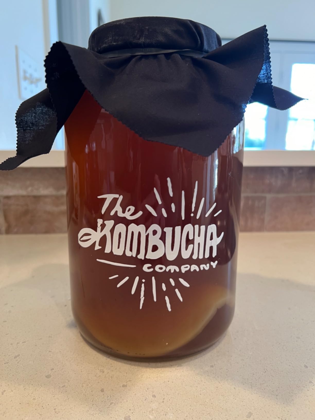 Kombucha Home Brewing Starter Kit | 5-Inch Large Scoby | Complete Kit with 16 oz Starter Tea, Brewing Jar & Supplies | Brew Unlimited Kombucha customer photo 2