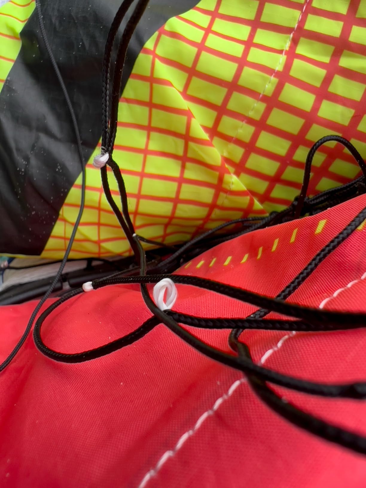 Prism Kite Technology Synapse Dual-line Parafoil Kite - Ideal Entry Level Kite for Kids and Adults customer photo 2