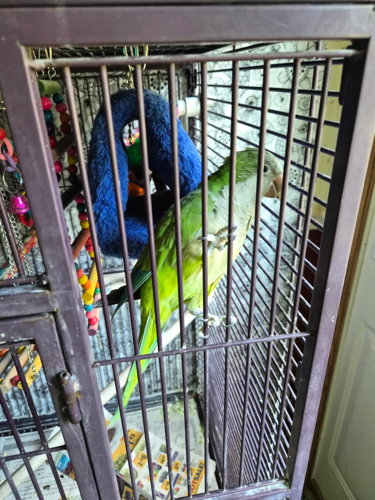 82 Inch Bird Cage, BOINN Bird Flight Cages with Rolling Stand & Bottom Tray, Wrought Iron Parrot Cage with PlayTop for Parakeet, Lovebirds, Ringneck, Cockatiels customer photo 1