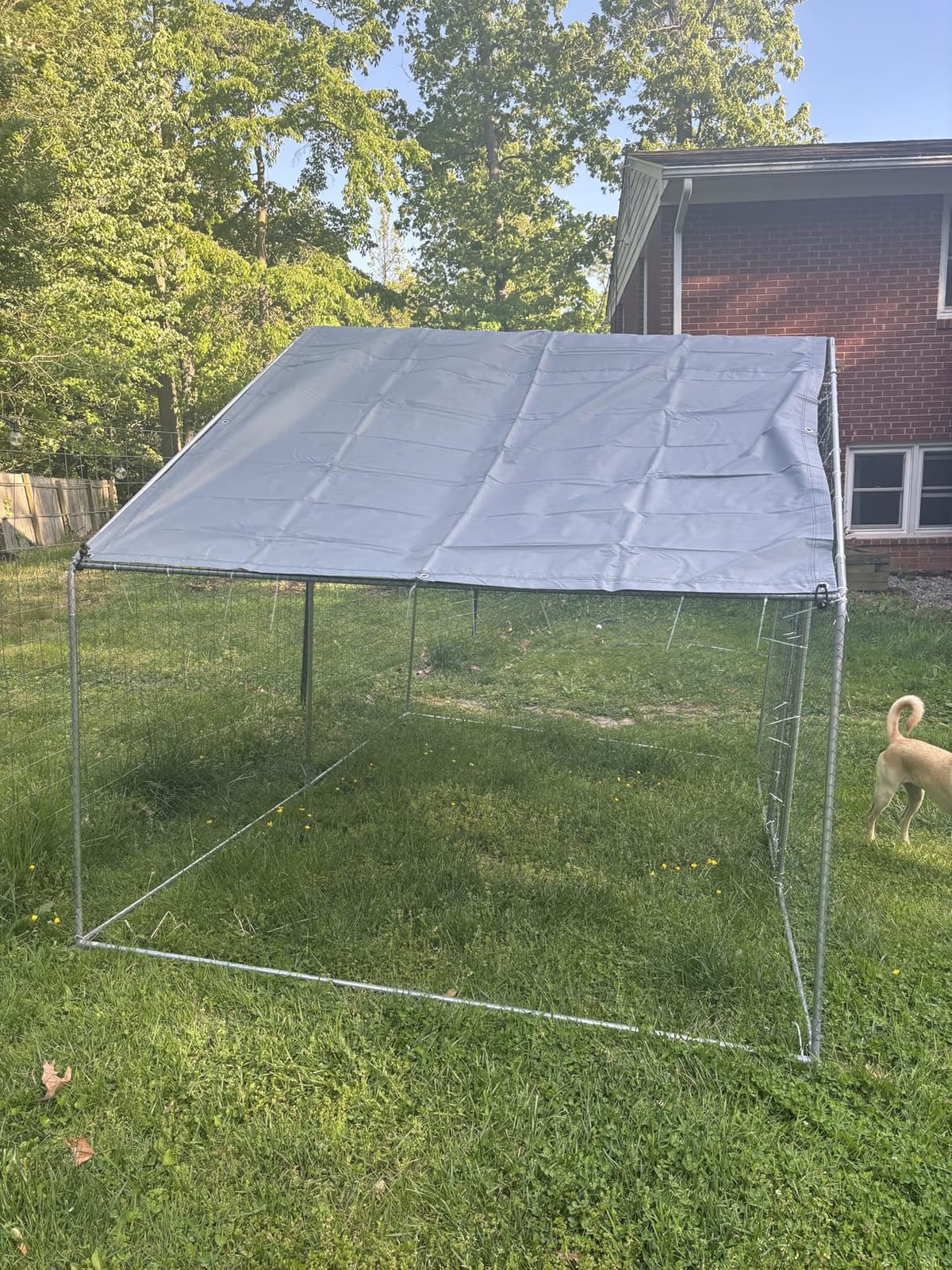 Large Metal Chicken Coop Round Top Upgrade Tri-Supporting Wire Mesh Chicken Run, Chicken Pen with Water-Resident and Anti-UV Cover, Duck Rabbit House Outdoor (13'L x 9'W x 6.5'H) customer photo 2