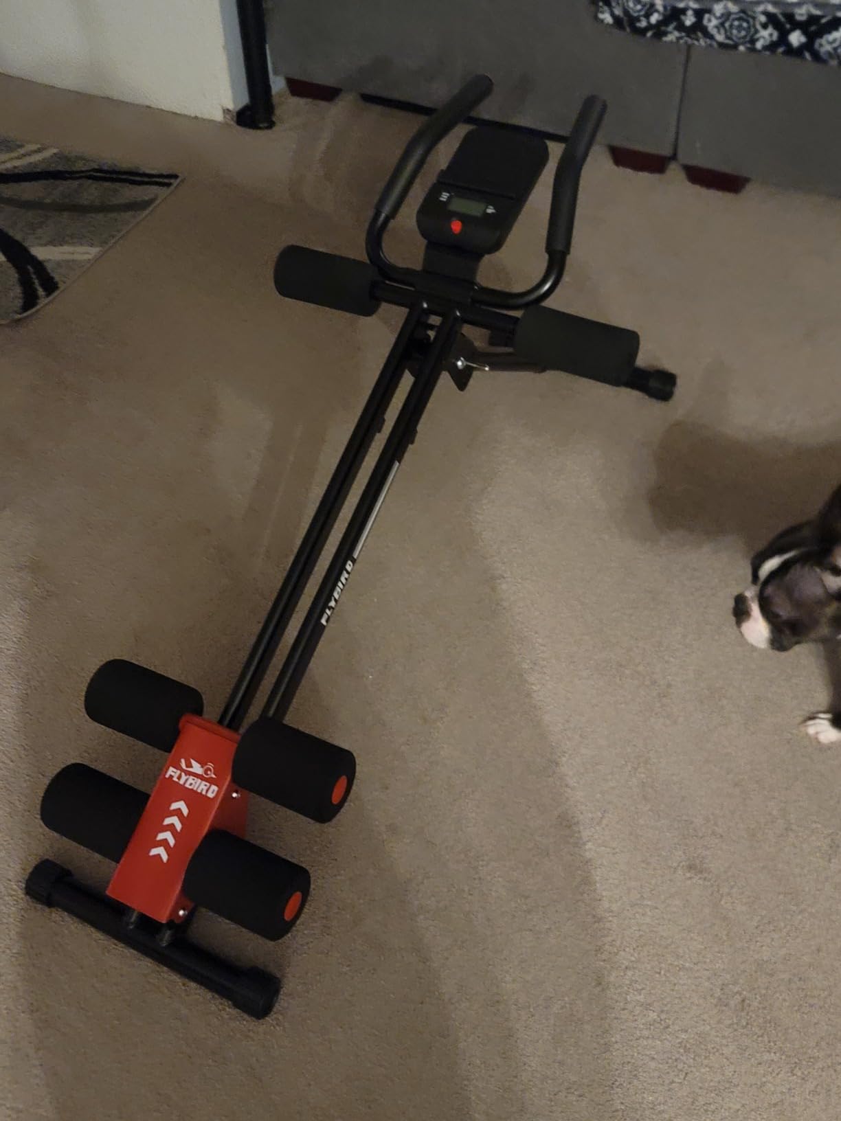 FLYBIRD AW1 Ab Workout Machine, Ab Crunch Machine Ab Workout Equipment Foldable for Home Gym, Bottom-Up Abdominal Trainer for Core Waist Workout and Body Shaping with Adjustable Heights and Angles, Red customer photo 2