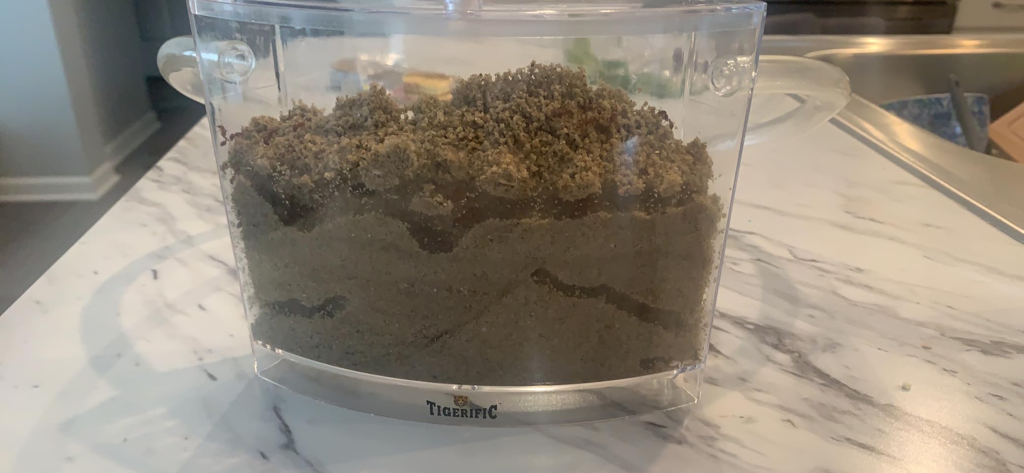 Ant Farm for Live Ants - Real Sand Ant Colony Kit for Kids - Fun Science Habitat Set for Children, Watch Ants Dig Tunnels, Carry Sand, Hide and Drag Their Food customer photo 2