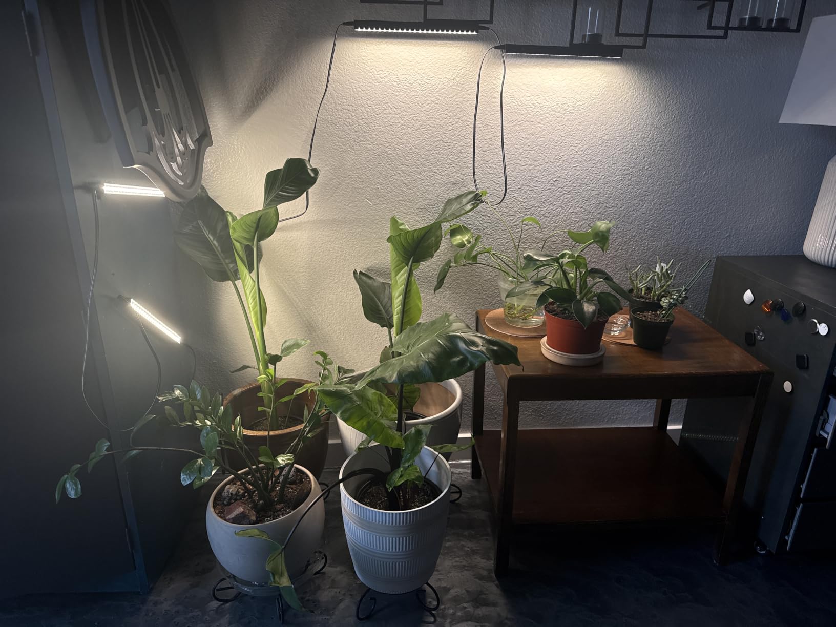 Barrina T5 Grow Lights for Indoor Plants, 5000K Full Spectrum, 1FT LED Growing Lamp, Plant Light Strip, for Seed Starting, Vegetables, Plug and Play, 4-Pack customer photo 2