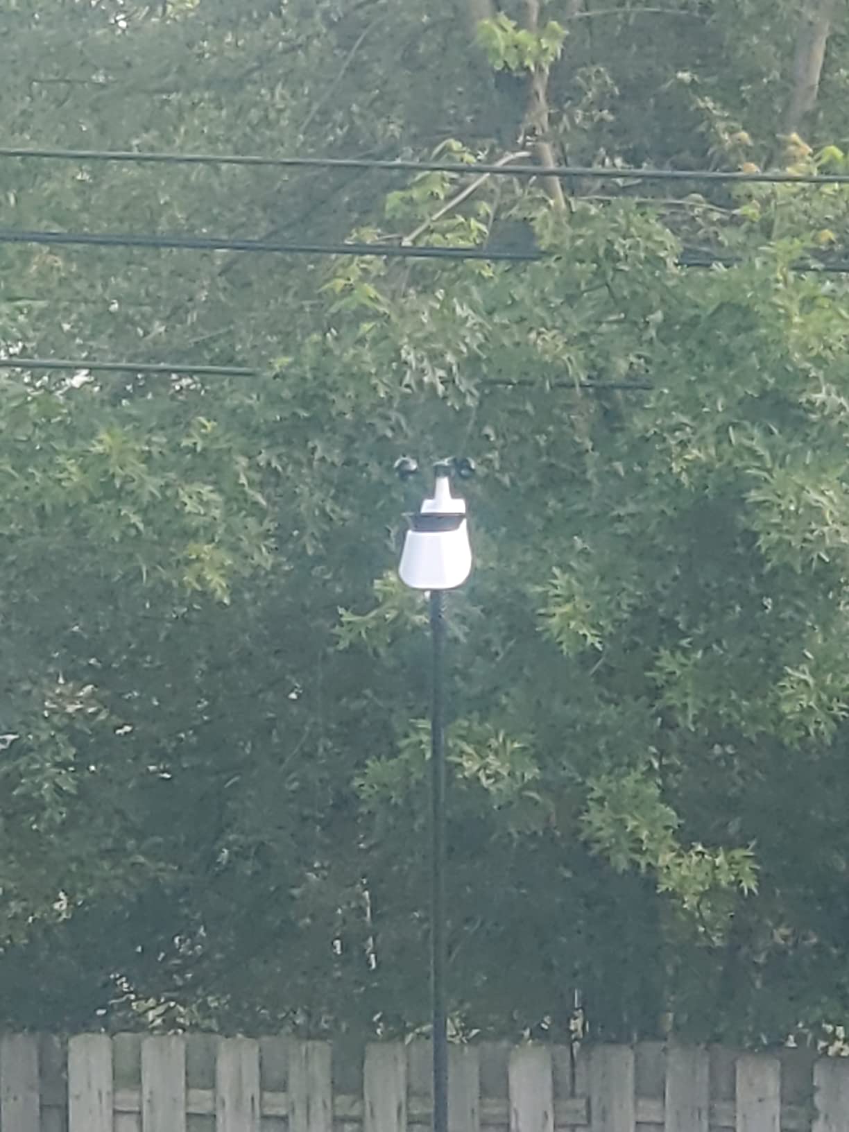 La Crosse Technology Professional Smart Wi-Fi Weather Station with Remote Monitoring (400 Foot Range), Wind and Rain Gauges, Temperature and Humidity Sensors, and Forecasting - V42-PRO-INT customer photo 2