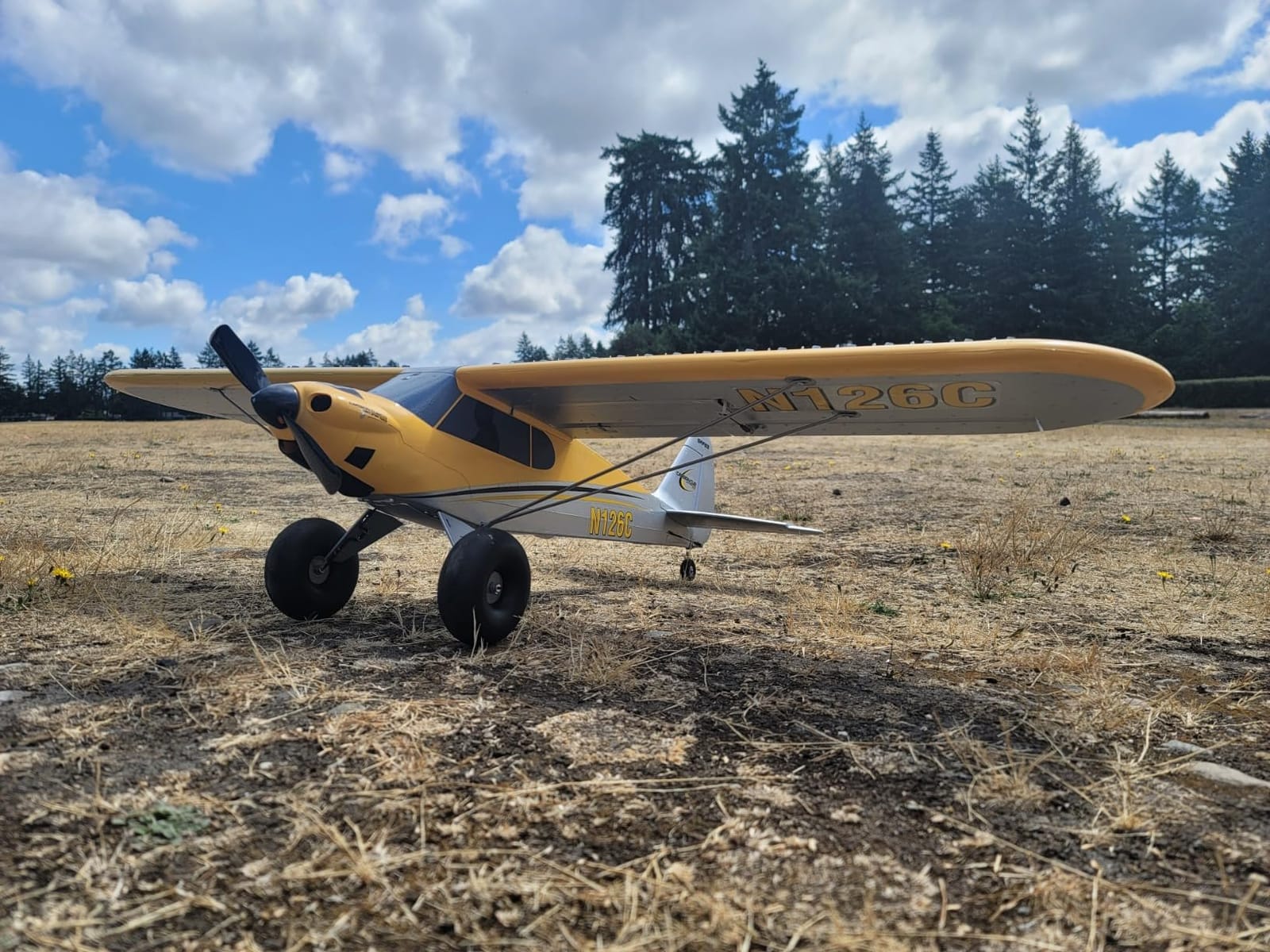 HobbyZone RC Airplane Carbon Cub S 2 1.3m RTF Basic (Battery and Charger Not Included), HBZ320001 customer photo 1