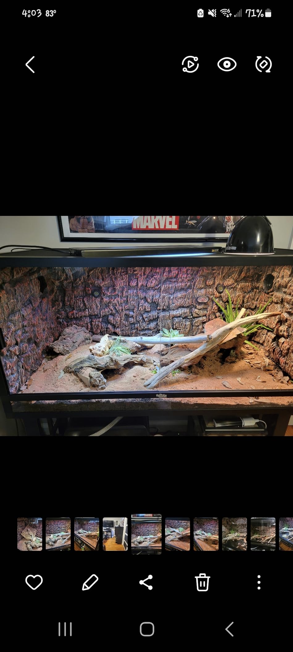 Reptile Habitats 4x2x2 (120 Gallon) Reptile Enclosure V3 PVC Panels, Glass Doors, Lightweight, Easy to Assemble, Heavy Duty Screen, Aluminum Frame customer photo 2