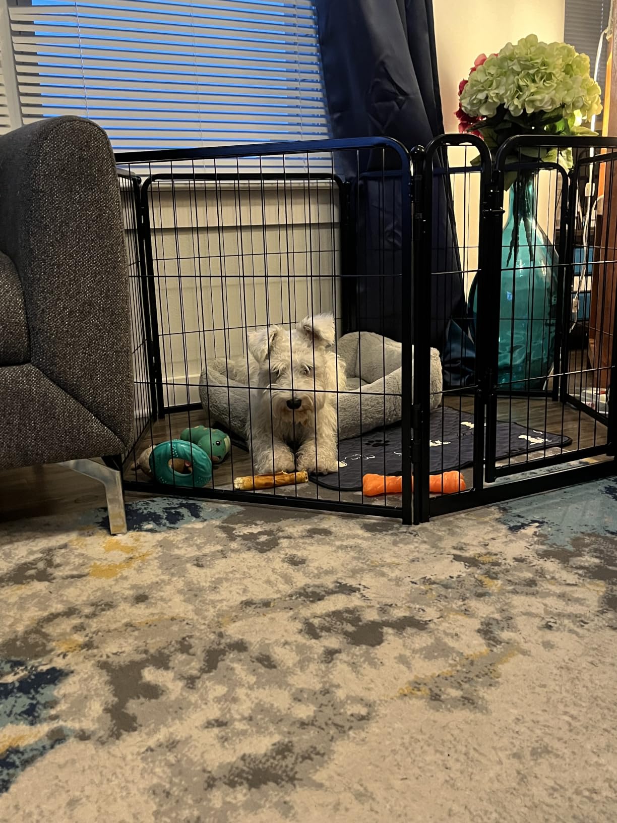 FXW Homeplus Unleashed Indoor Dog Playpen - Stress-Free and Safe Play, Heavy Duty 24 Inch 6 Panels Dog Pen for Puppy and Small Dogs, Black | Patented customer photo 1