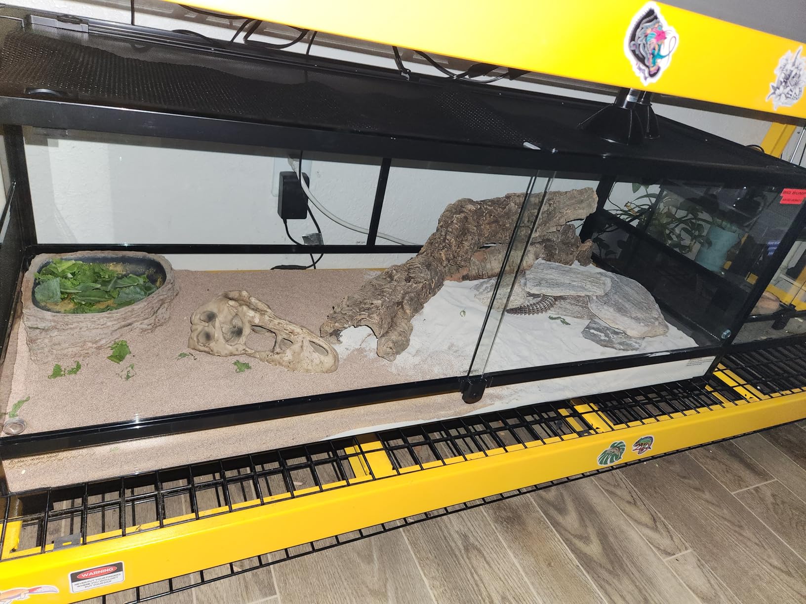REPTI ZOO Reptile Tempered Glass Extra-Long Terrarium Habitats 48
