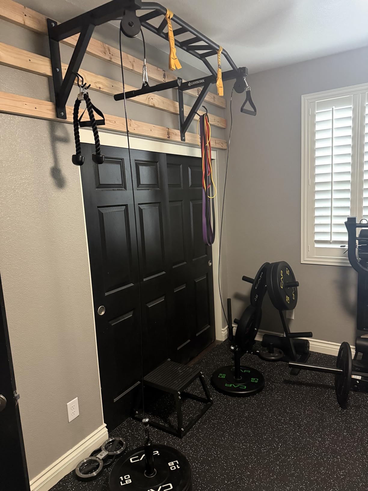 LIONSCOOL Multifunctional Wall Mounted Pull Up Bar with Pulley System, 48