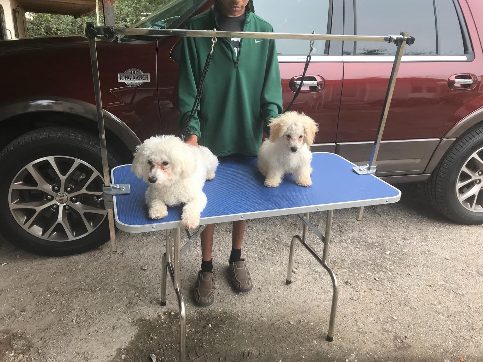 Bonnlo 42.5 inch Hydraulic Dog Grooming Table, Professional Heavy Duty Grooming Table for Dogs, Trimming Table Drying Table w/Arm/Noose customer photo 2