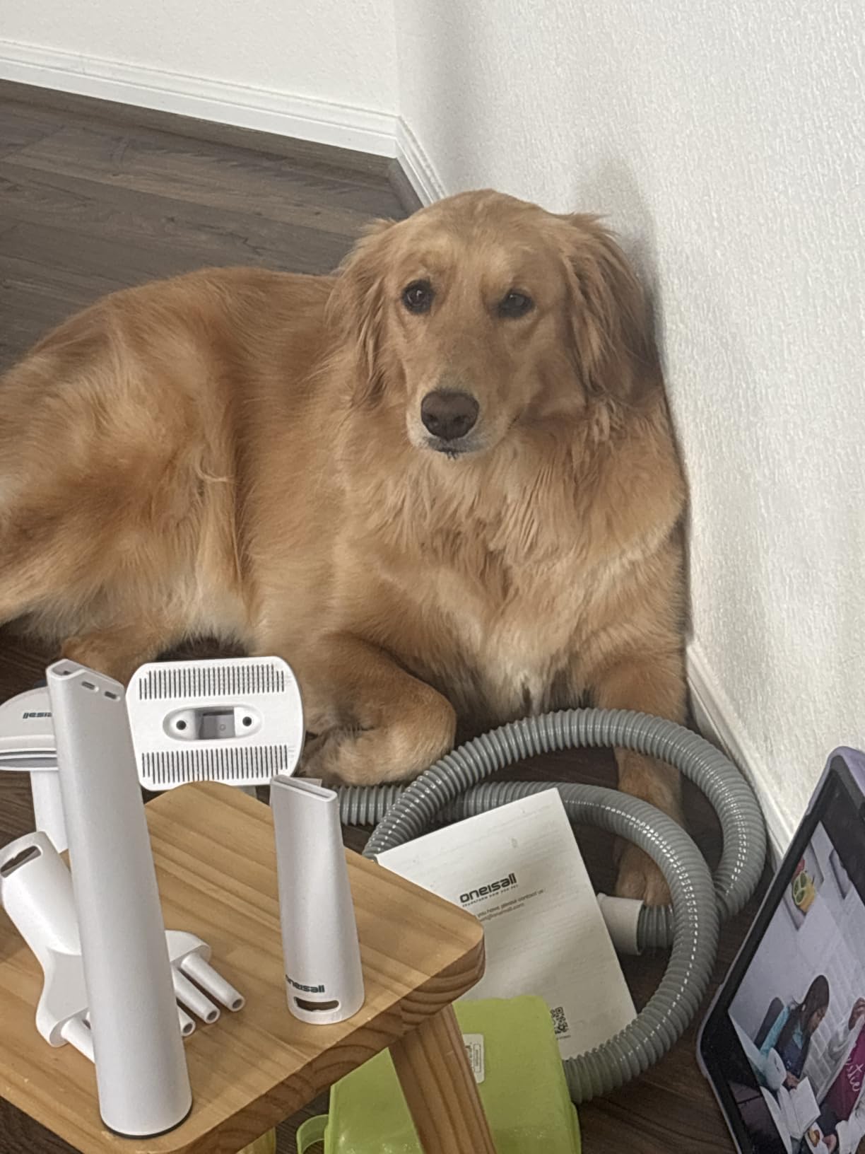 oneisall Dog Vacuum & Dryer for Shedding Grooming, 8 in 1 Dog Grooming Kit with Metal Blade Pet Clippers, Adjustable Speed and Temperature Control Blower customer photo 1
