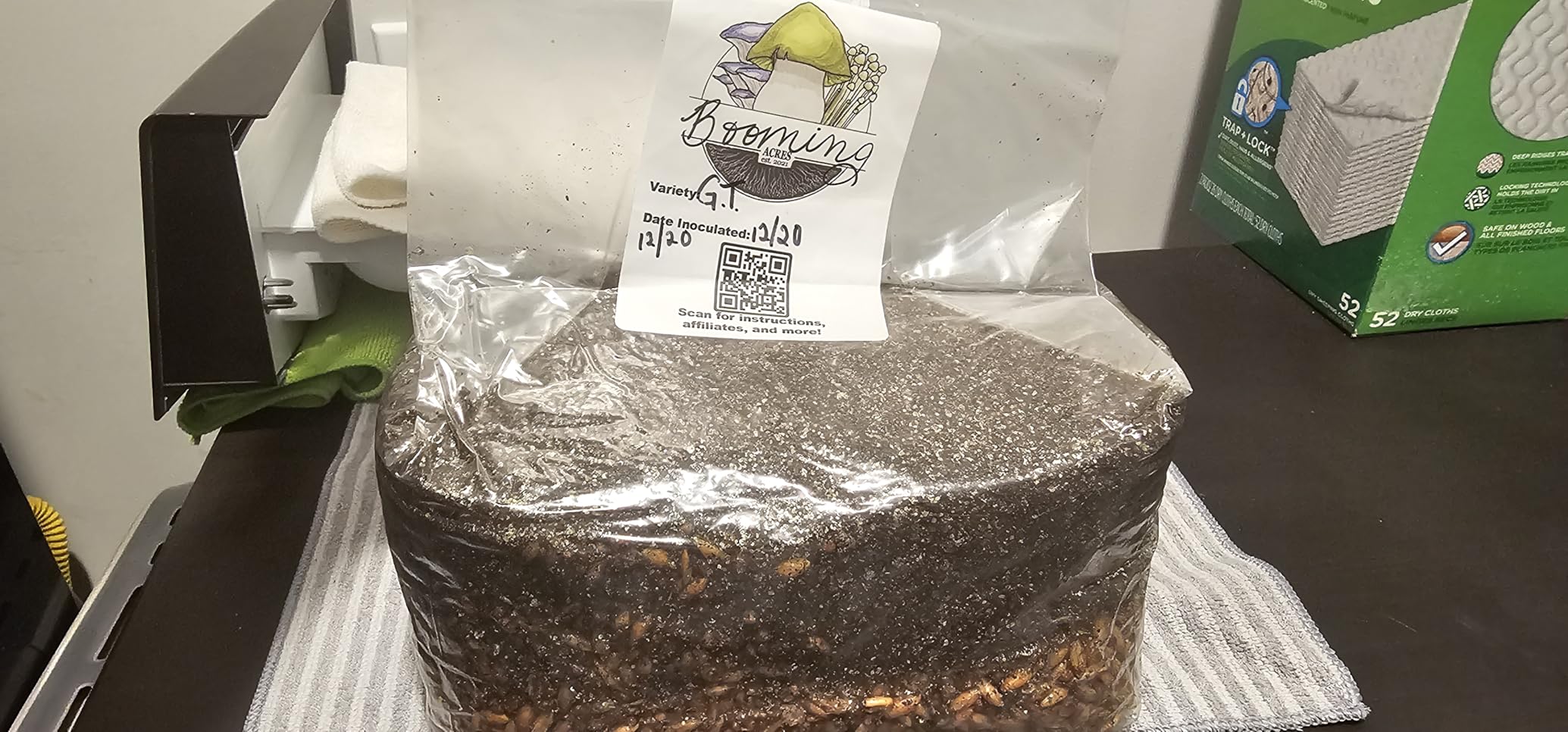 The Magical 5lb All-in-One Mushroom Grow Bag | Mushroom Grow Kit | Harvest Your own Happiness | Discover the Magic of Growing Mushrooms - 5lb Grow Bag Mushroom Starter Kit customer photo 1