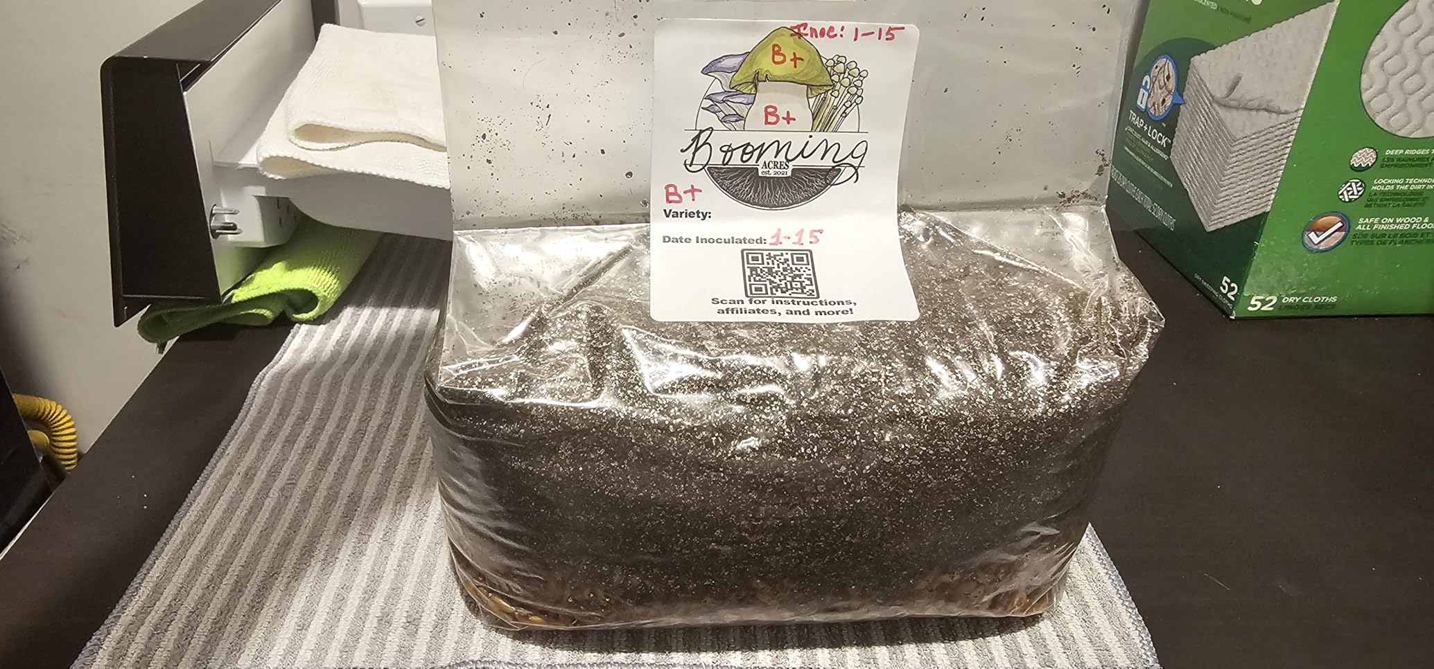 The Magical 5lb All-in-One Mushroom Grow Bag | Mushroom Grow Kit | Harvest Your own Happiness | Discover the Magic of Growing Mushrooms - 5lb Grow Bag Mushroom Starter Kit customer photo 2
