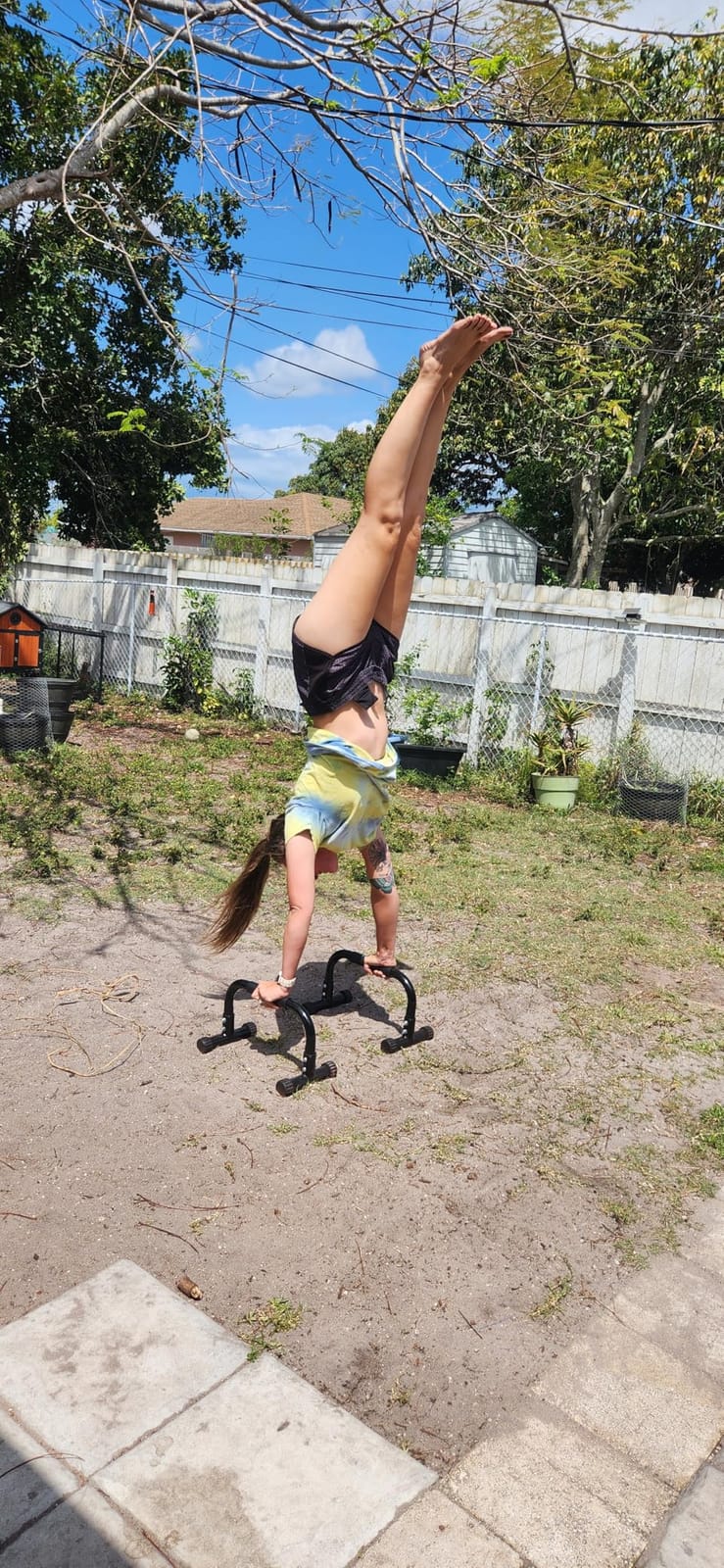 Teclor Push Up Bar, Parallettes Bars For L-sit & Dip, Heavy-Duty No Wobbling Parallel Bars Stand For Handstands, Full Planche, Calisthenics, 9.5in High Workout Stands for Home Fitness Training customer photo 1