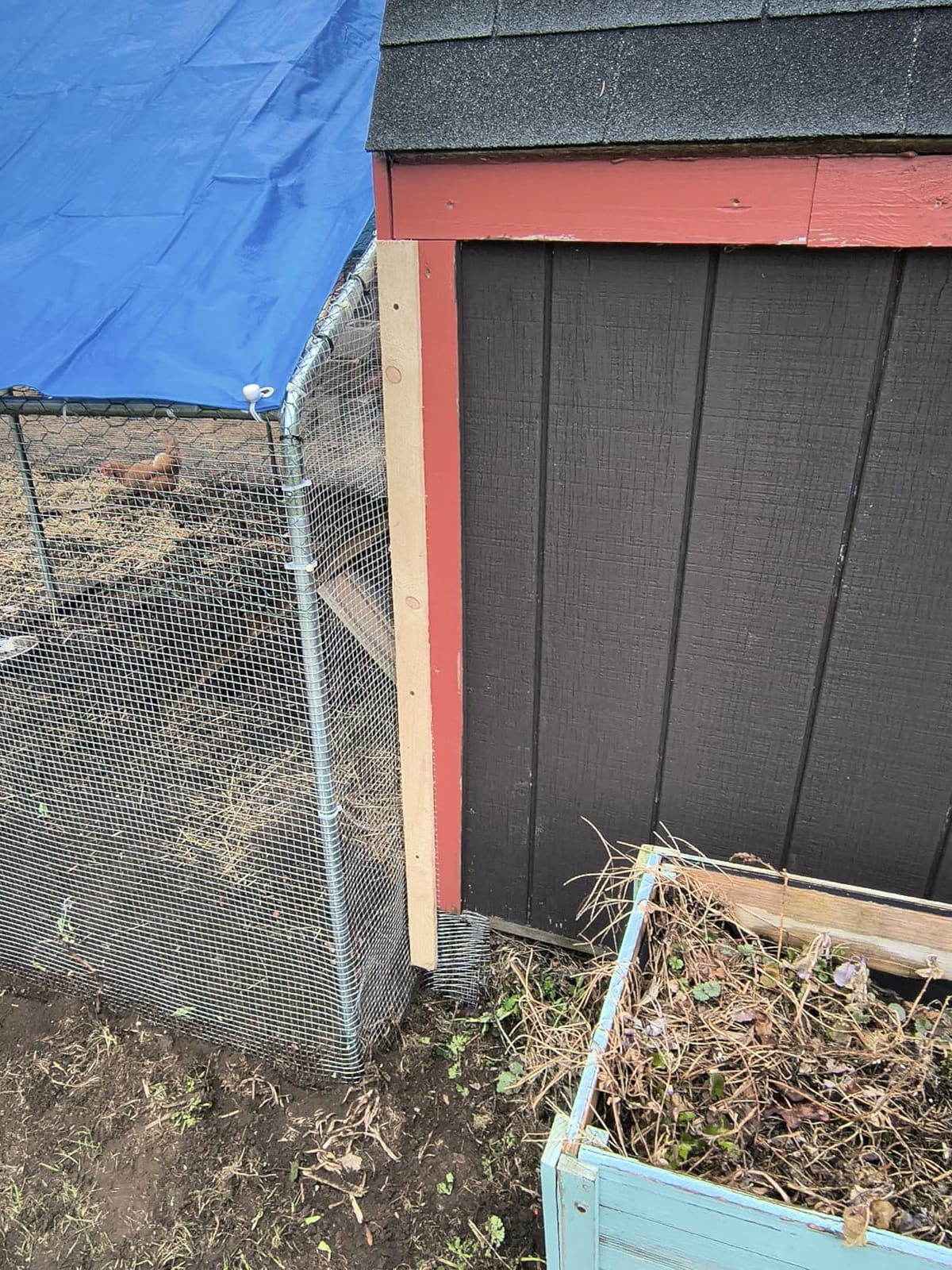 Sino Luban Large Metal Chicken Coop Run for 10 Chickens/Ducks, Chicken Runs for Yard with Waterproof Cover, Chicken Enclosure Chicken Pen Outdoor, Walk-in Poultry Cage (Upgrade Wall Support Brace) customer photo 1