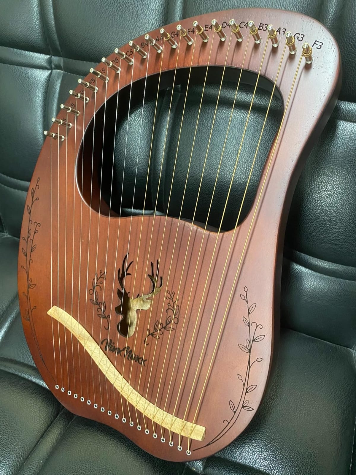 Lyre Harp, 19-String Mahogany Lyra Harp Kit, Stringed Musical Instruments with Tuning Wrench Bag Instructions Extra Strings for Beginners Adults customer photo 2