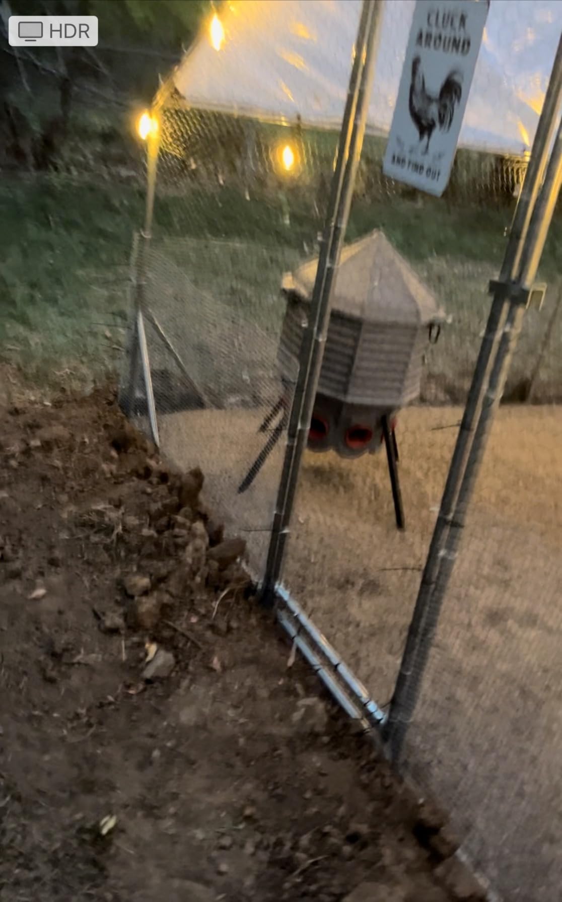 CoopWorx Poultry Feeder - 80 lb Capacity - Adjustable Height - UV Stable - Weather Resistant - 8 Feed Ports - Silo Shaped Design - Rust-Proof - Intended for Chickens/Ducks/Turkeys - Made in USA customer photo 1