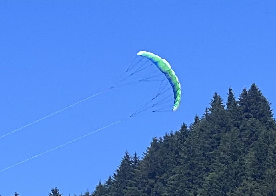 Prism Kite Technology Synapse Dual-line Parafoil Kite - Synapse 200, Coastal customer photo 2