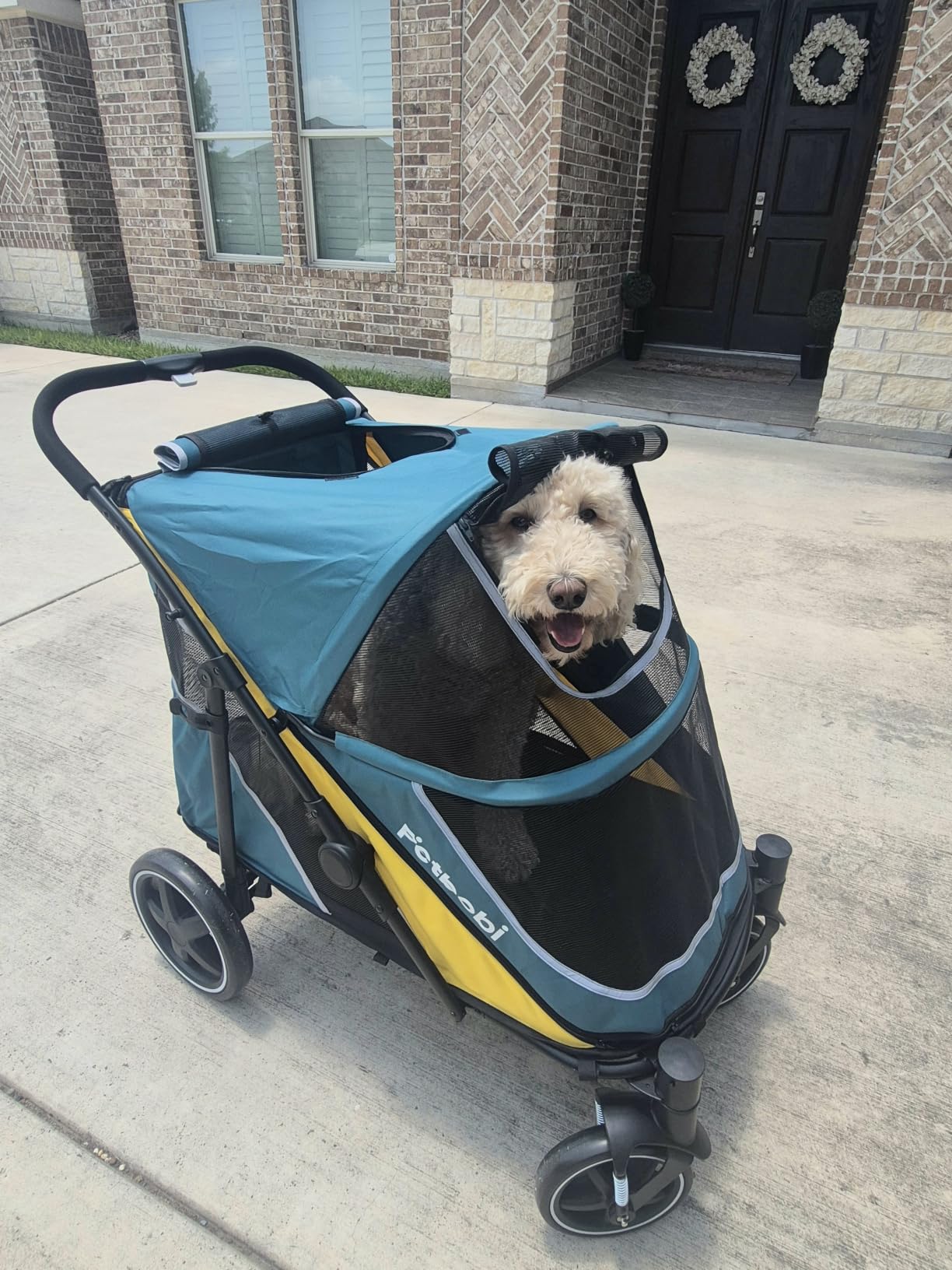 Petbobi Dog Stroller for Large Medium Dogs up to 80 lbs, Dual Entry | One-Hand Fold, One-Foot Brake, All Terrain 360 Swivel Front Wheel, Heavy Duty Air Mesh Wagon, Low Step-In for Senior Pets customer photo 1