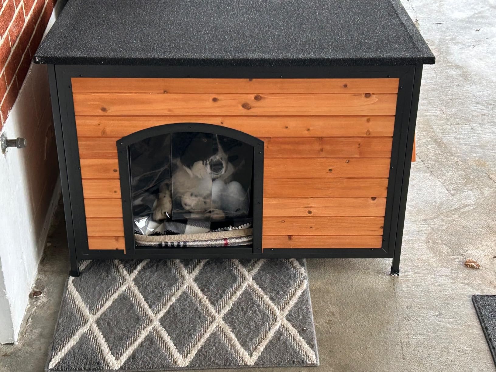 FunXplore Dog House Outdoor Insulated 43.3