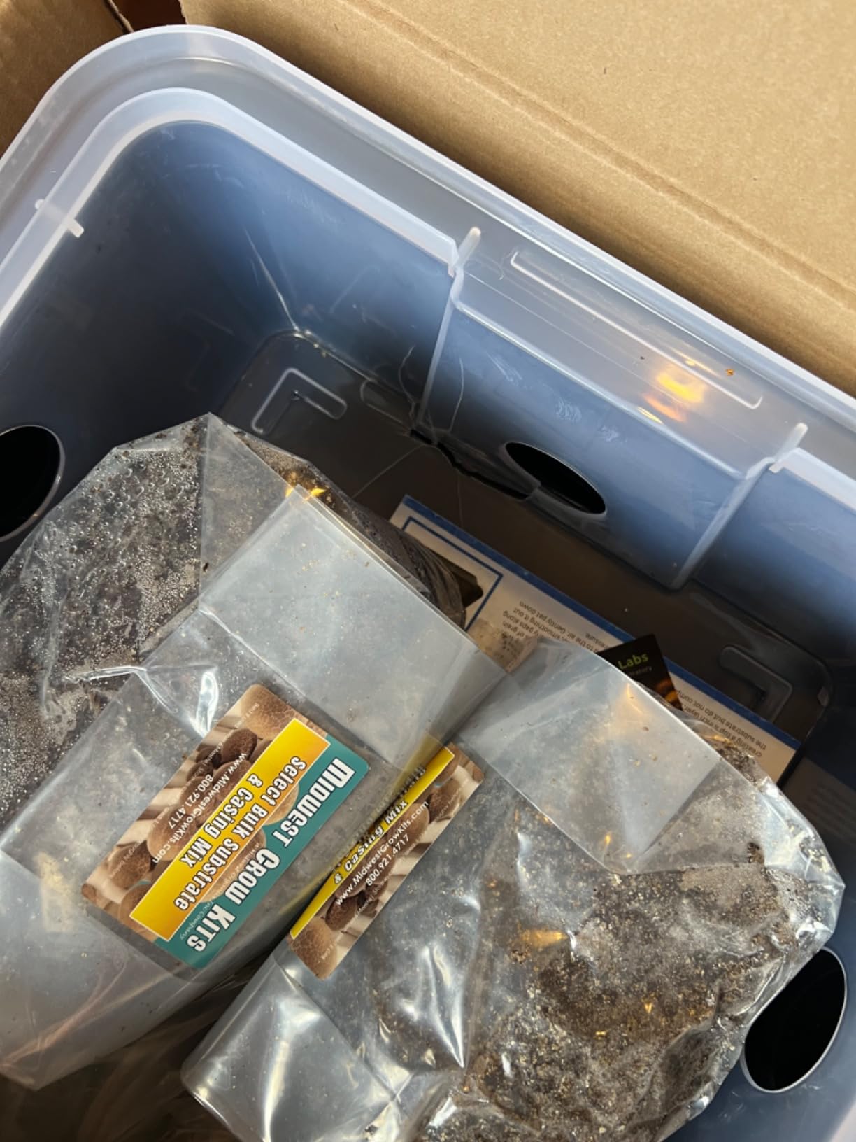 Mushroom Monotub Large 66Q Grow Kit | Complete Mushroom Grow Kit | for Dung-Loving Mushrooms | Includes 2 sterilized Grain Spawn Bags, Bulk Substrate, Vermiculite, Filters & More! Just add Spores customer photo 1