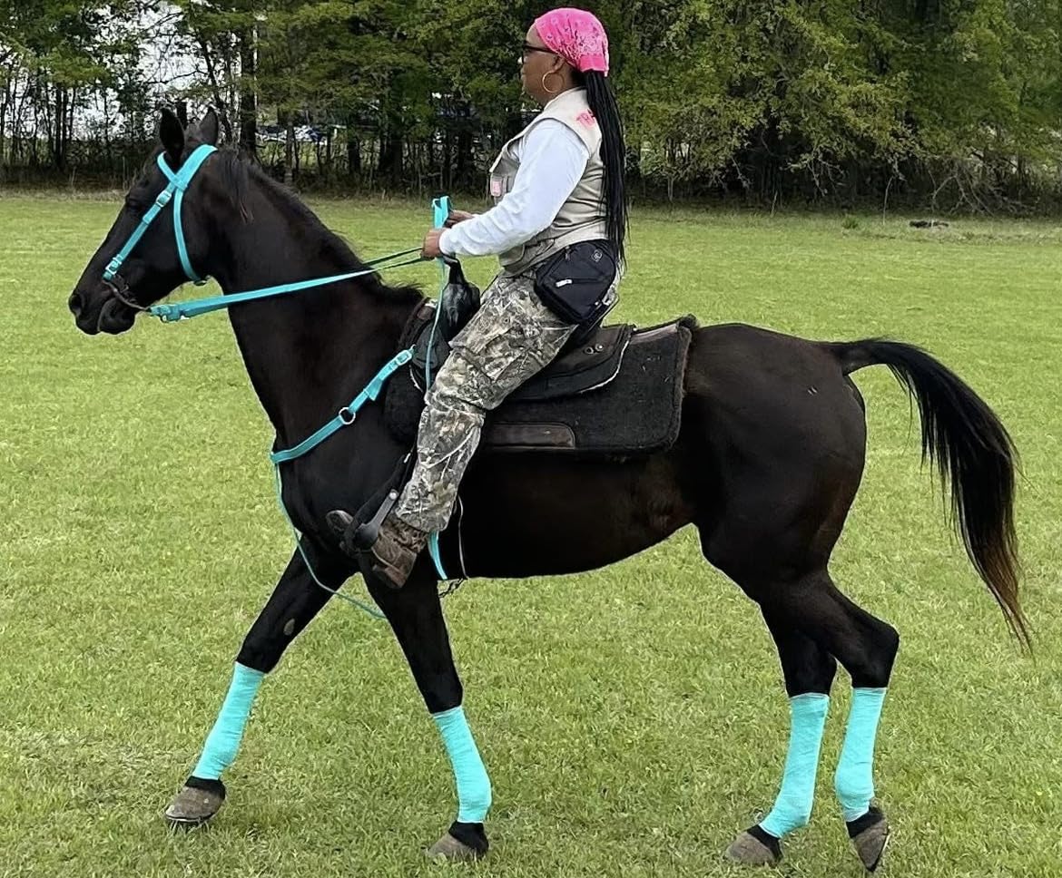 Majestic Ally Nylon Padded Equestrian Browband Headstall, Reins & BreastCollar Set for Horse- Full customer photo 1