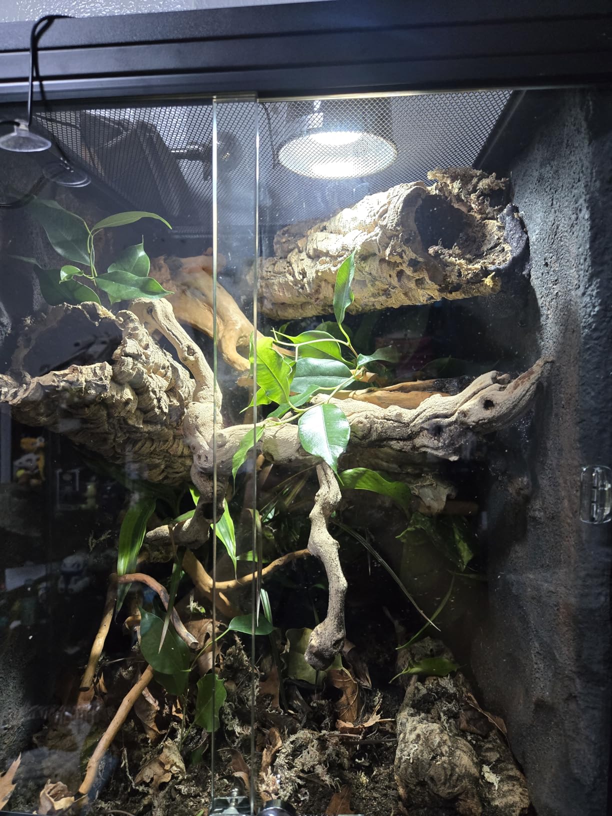 REPTI ZOO 30 Gallon PVC Tall Reptile Tank, 18x18x24 Reptile Terrarium for Frog Lizard Gecko Chameleon Snake, Tropical Rainforest Habitat Enclosure with Sliding Door & Top Screen Ventilation customer photo 1