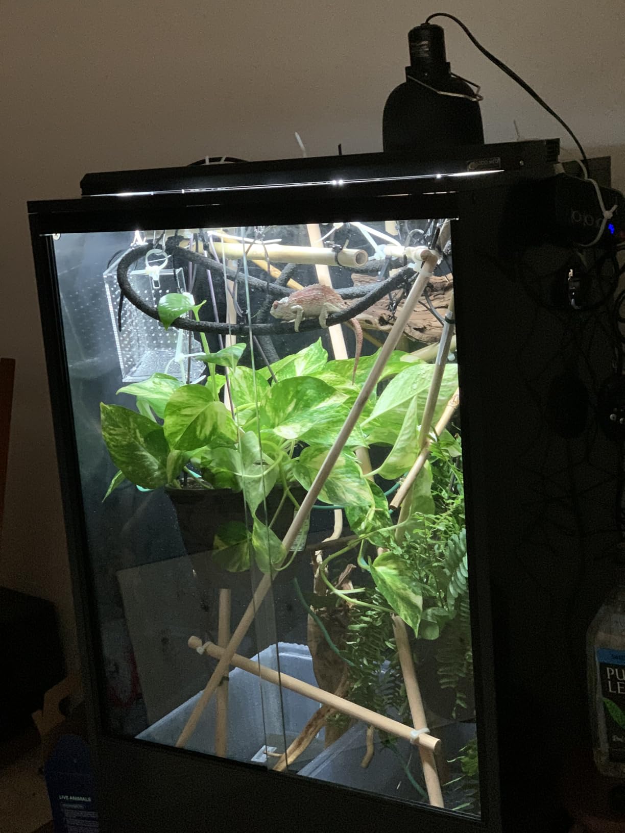 REPTI ZOO 30 Gallon PVC Tall Reptile Tank, 18x18x24 Reptile Terrarium for Frog Lizard Gecko Chameleon Snake, Tropical Rainforest Habitat Enclosure with Sliding Door & Top Screen Ventilation customer photo 2