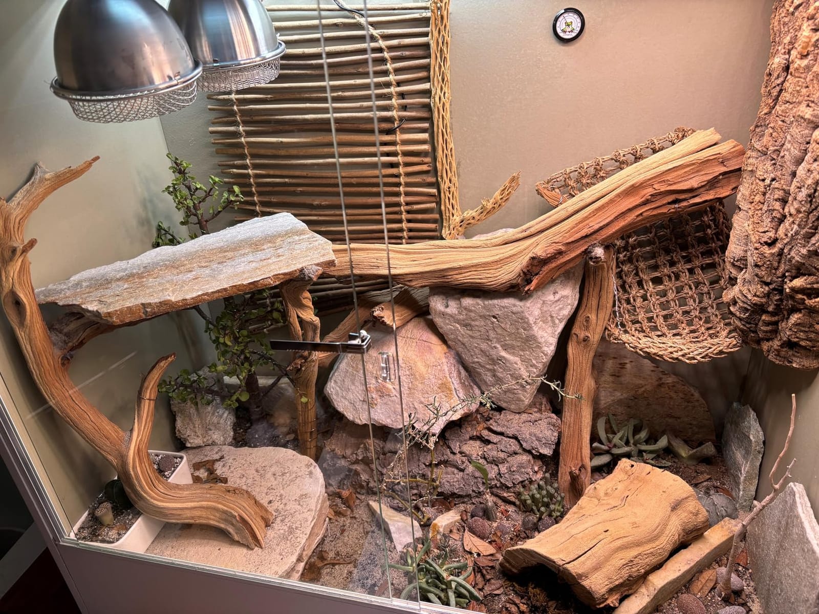 REPTIZOO 100 Gallon PVC Reptile Enclosure, 36x18x36 inch Extra Tall Large Reptile Tank, Chameleon Frog Gecko Lizard Arboreal Terrarium with Sliding Door & Screen Ventilation customer photo 1