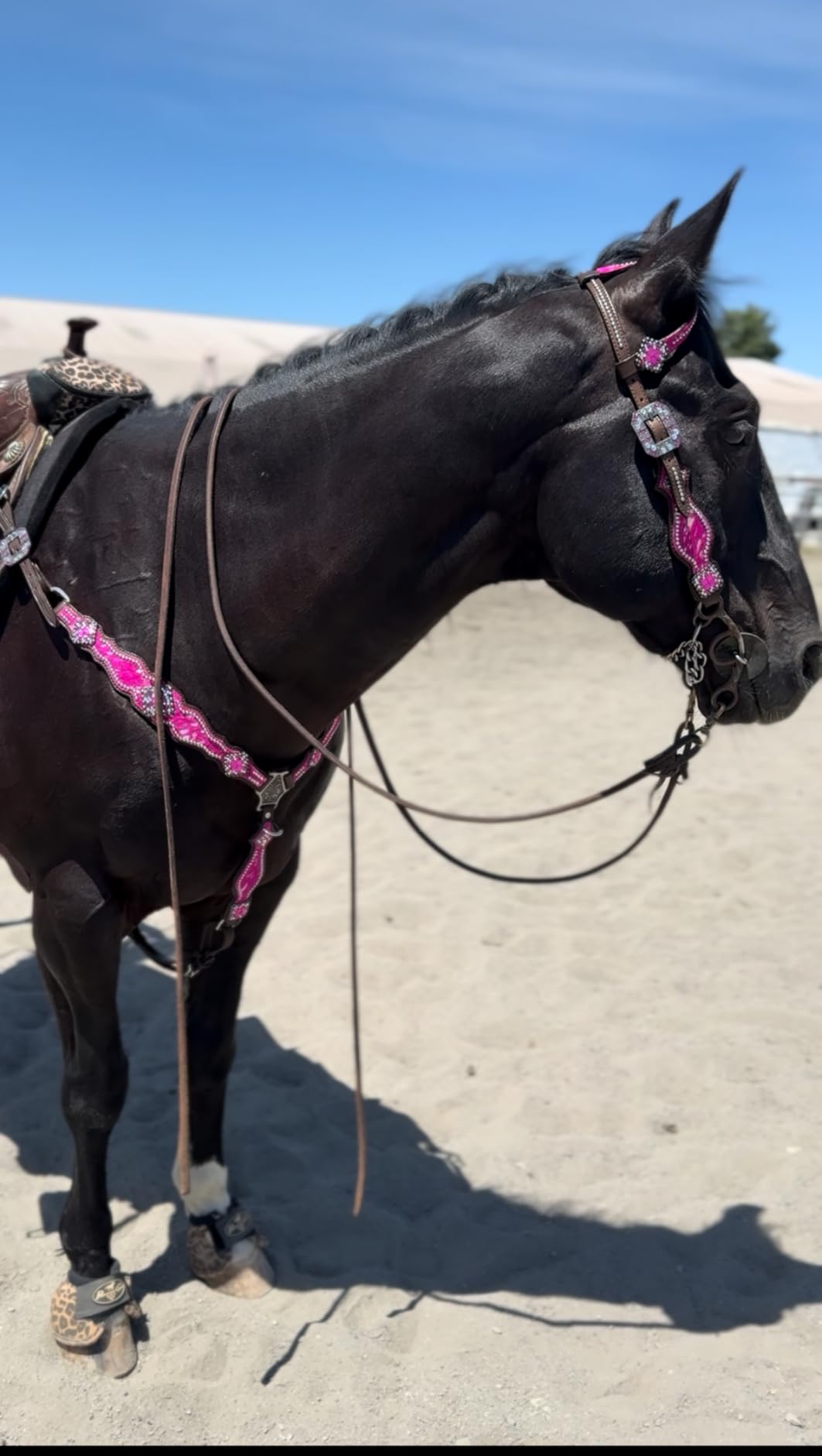 Western One Ear Leather Headstall and Breast Collar Tack Set with Rhinestones, Pink Silver Metallic Acid Wash Cowhide Look, Full Average Size Horse customer photo 1
