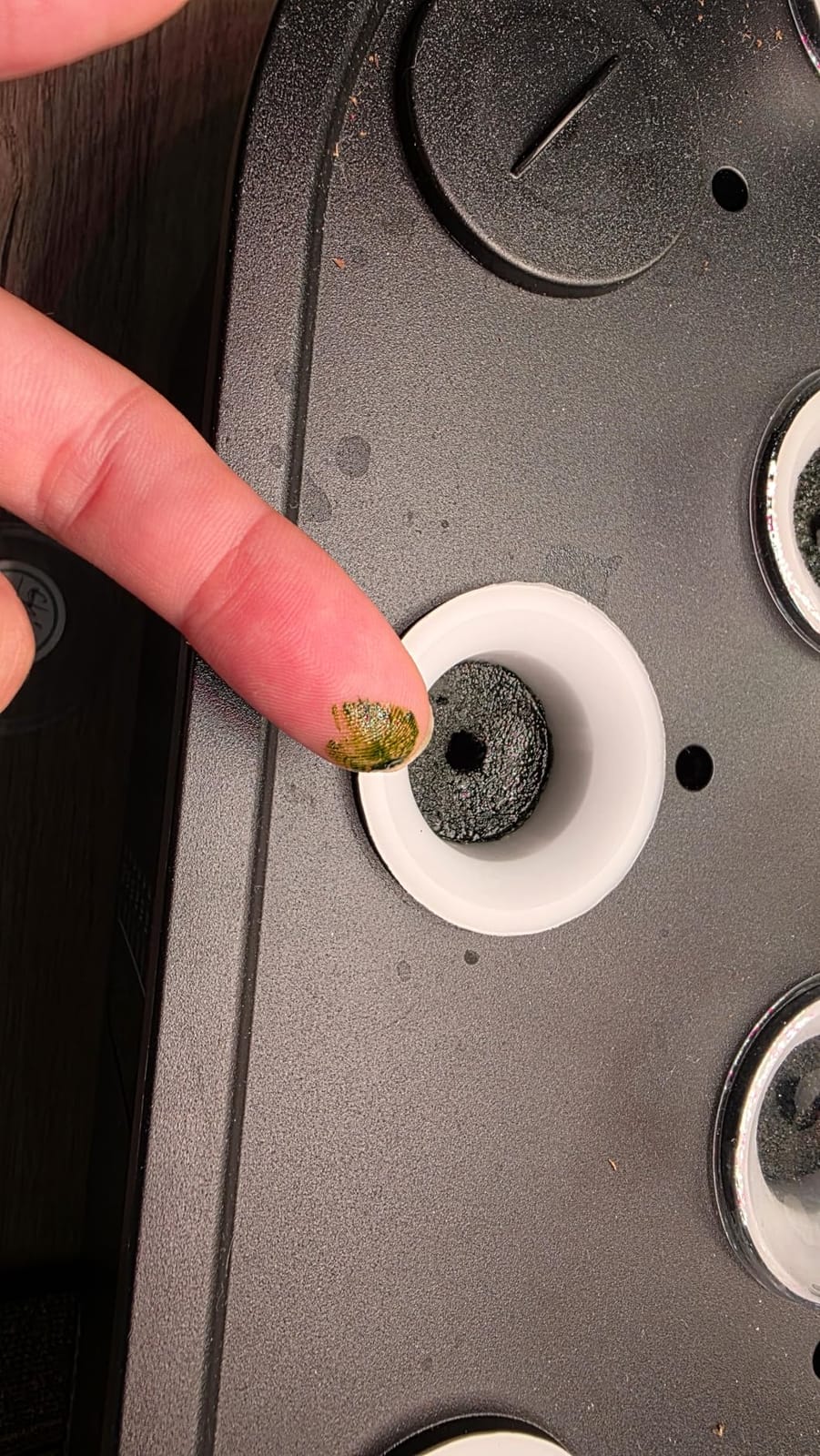 Hydroponics Growing System Kit: 12 Pods Temp & Humidity Monitor | Indoor Herb Garden with Full Spectrum LED Grow Light for Growing Vegetables, Herbs and Lettuce - Beginner Plant Gardeners customer photo 1
