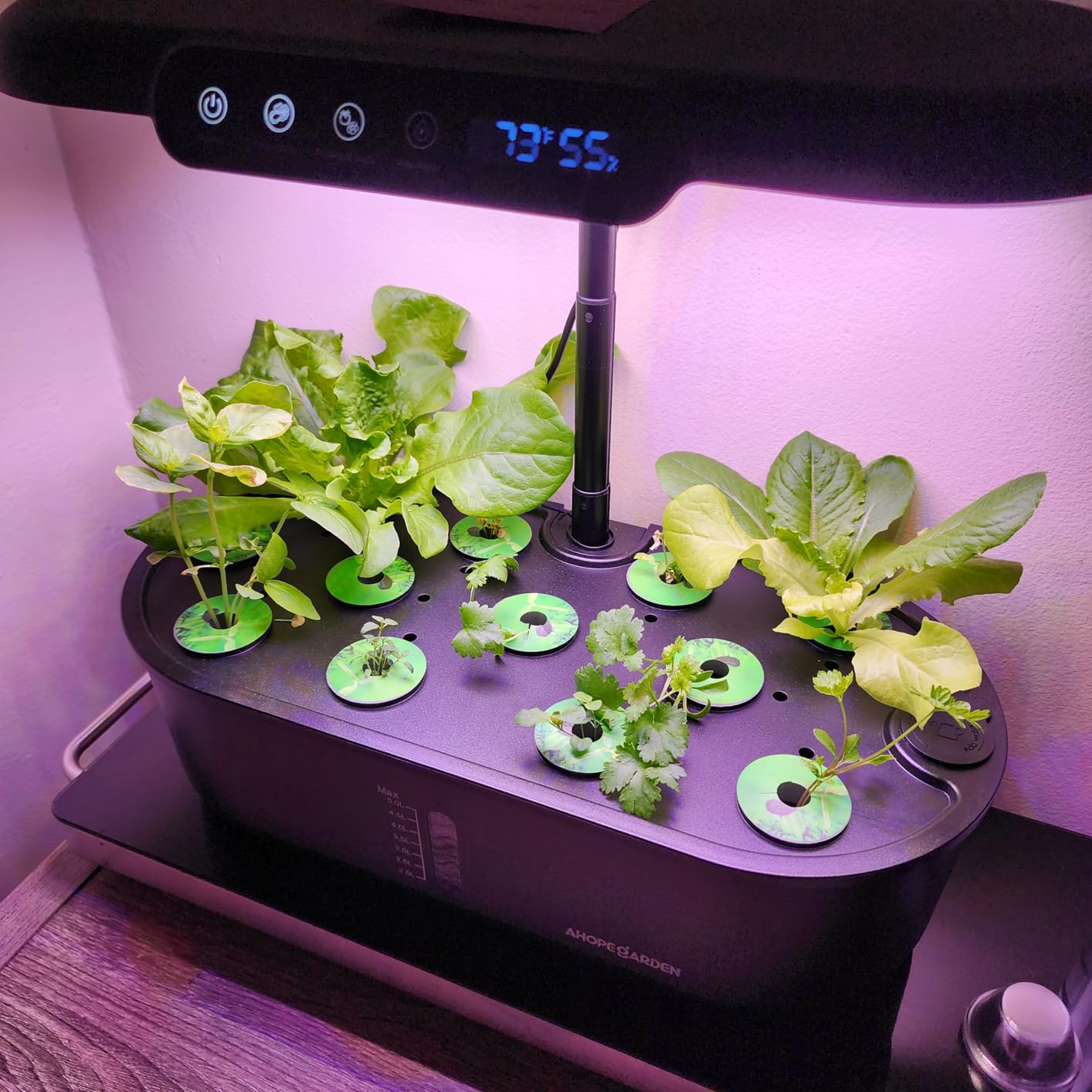 Hydroponics Growing System Kit: 12 Pods Temp & Humidity Monitor | Indoor Herb Garden with Full Spectrum LED Grow Light for Growing Vegetables, Herbs and Lettuce - Beginner Plant Gardeners customer photo 2