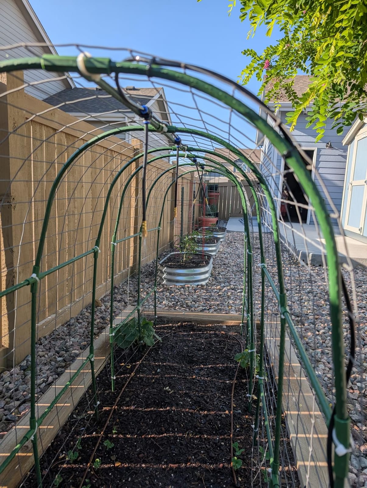 Cucumber Trellis for Raised Bed,U-Shape Garden Trellis for Climbing Plants Outdoor, Metal Arch Vegetables Trellis, Plant Support for Vine (Green, 47.2x47.2 X21.6) customer photo 2