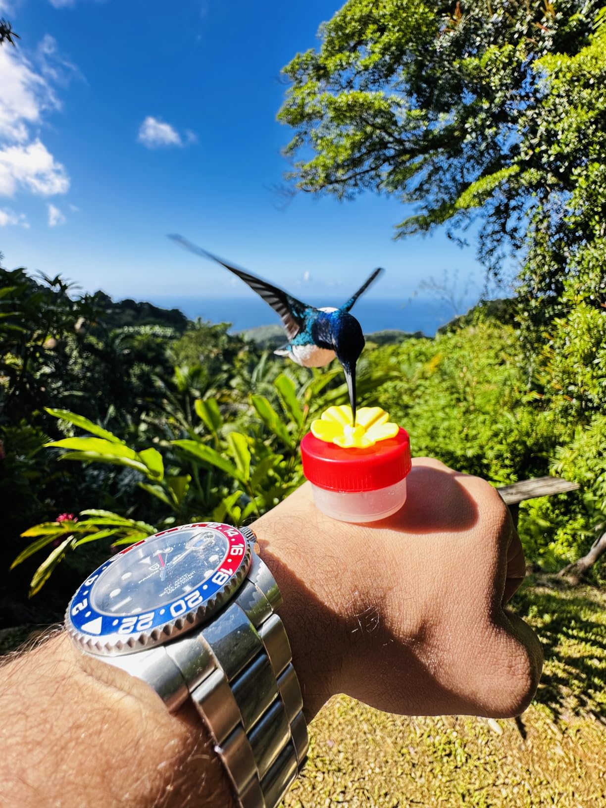 Men Watch Pagani Design GMT Watches for Men Automatic 40MM Date 100M Waterproof Stainless Steel Sapphire Glass Mechanical Wristwatches PD-1662 customer photo 2