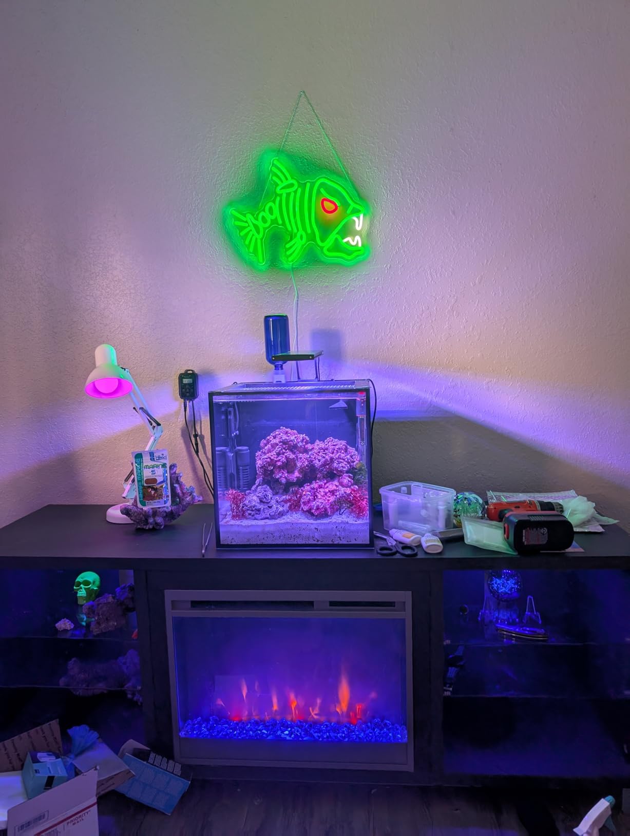 Innovative Marine Starter Kit Aquariums (25 Gallon Lagoon) customer photo 1