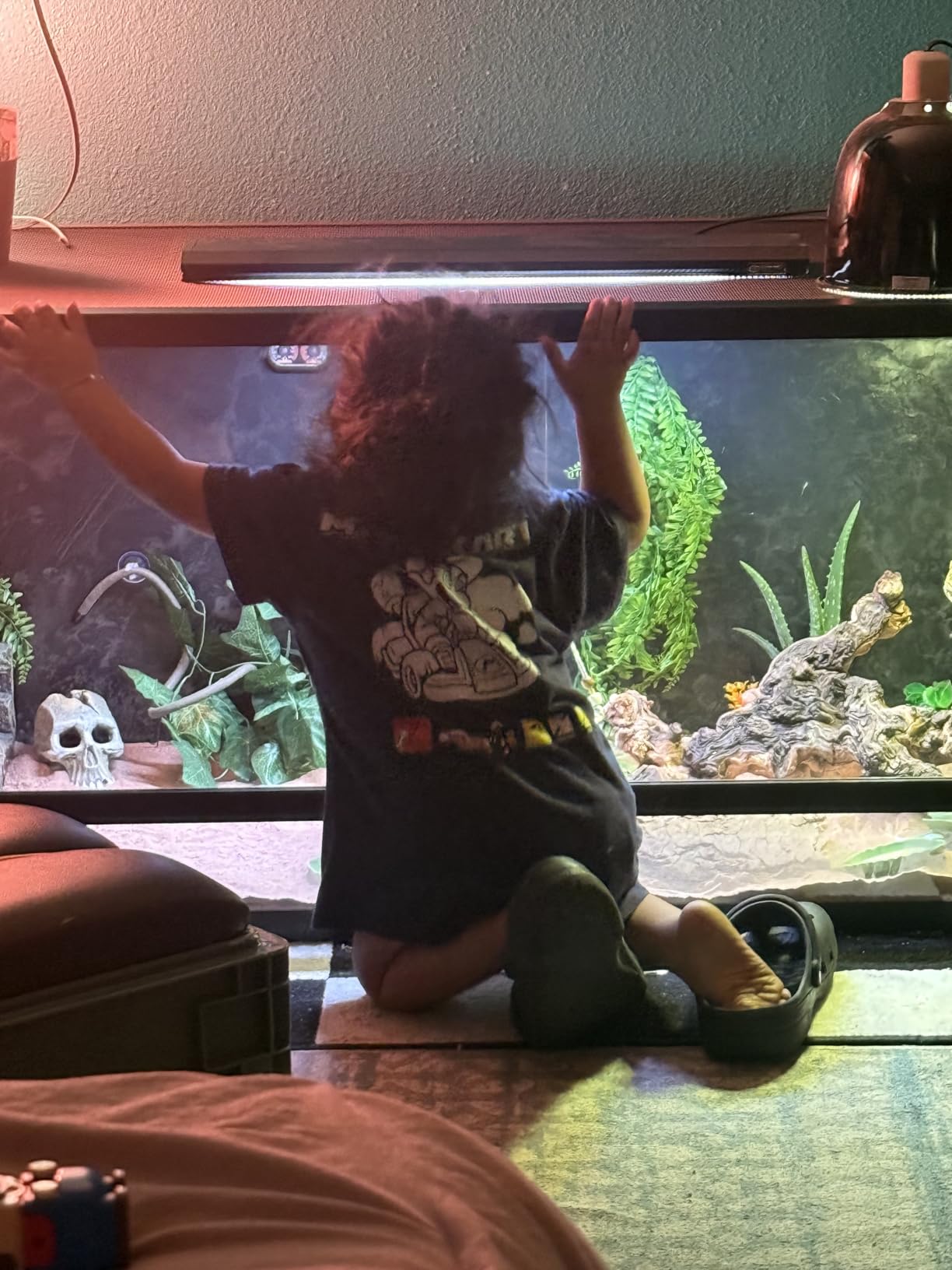 Reptile Habitats 5x2x2 (150 Gallon) Reptile Enclosure PVC Panels, Glass Doors, Lightweight, Easy to Assemble, Heavy Duty Screen, Aluminum Frame customer photo 2