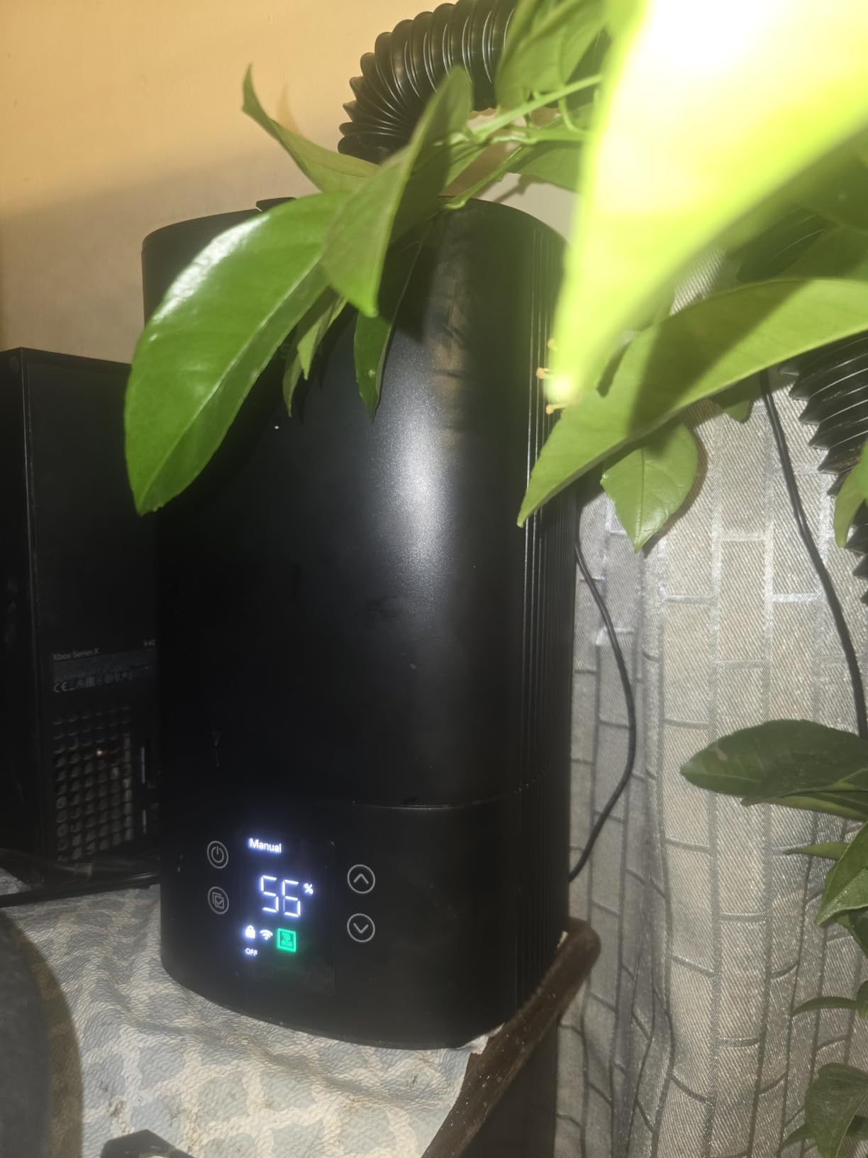 VIVOSUN AeroStream H05 Intelligent Wi-Fi Humidifier, 1.32 Gal / 5 L Humidifier with Temp & Humidity Probe, Smart Remote Control, Designed for Growers customer photo 2