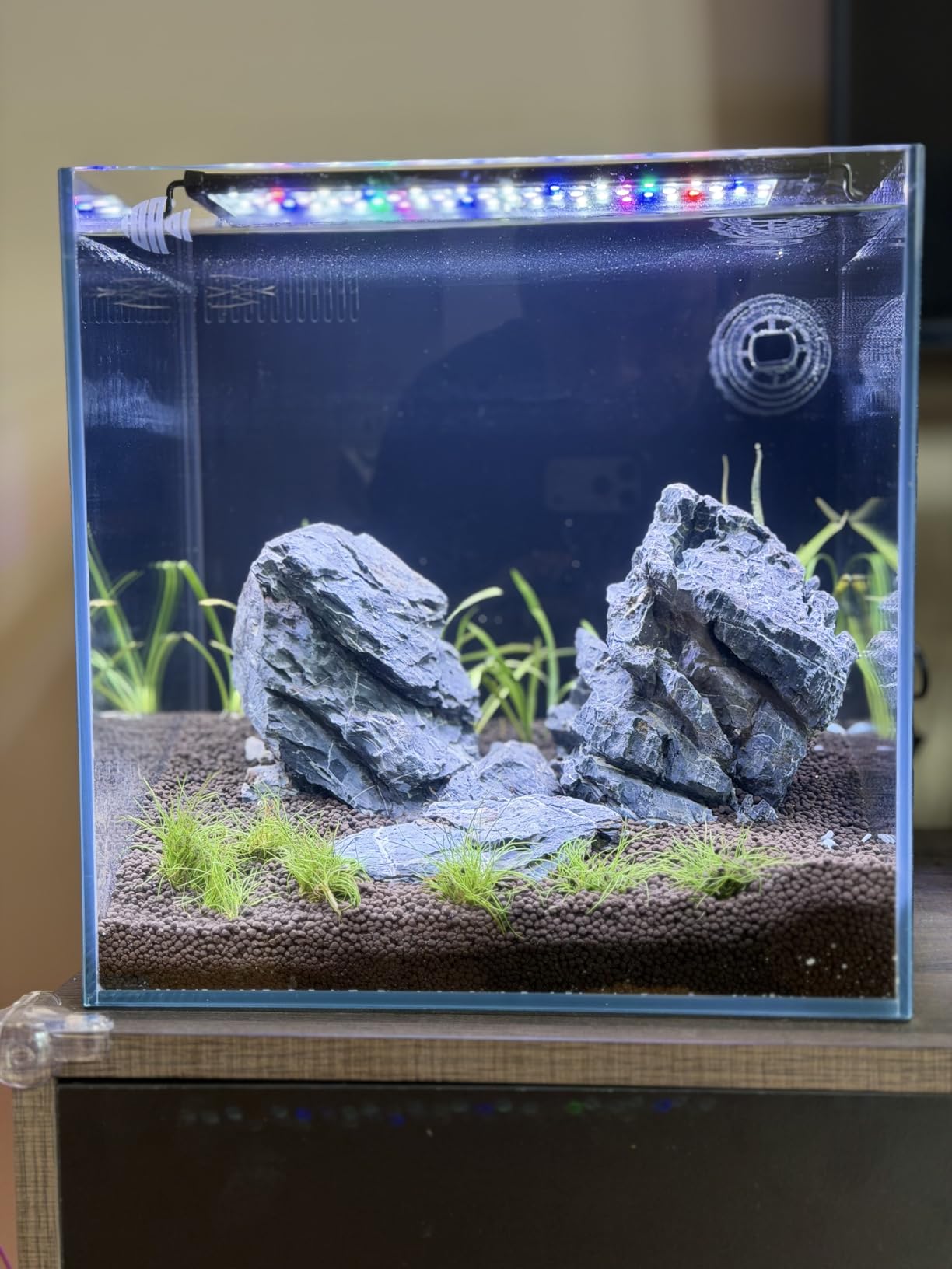 Coralland 8-Gallon Saltwater Aquarium - Ultra Clear Low Iron Glass, 45 Degree Angled Joint Design, Crystal Clear Viewing, Perfect for Marine Fish & Reef Tanks & Freshwater customer photo 2