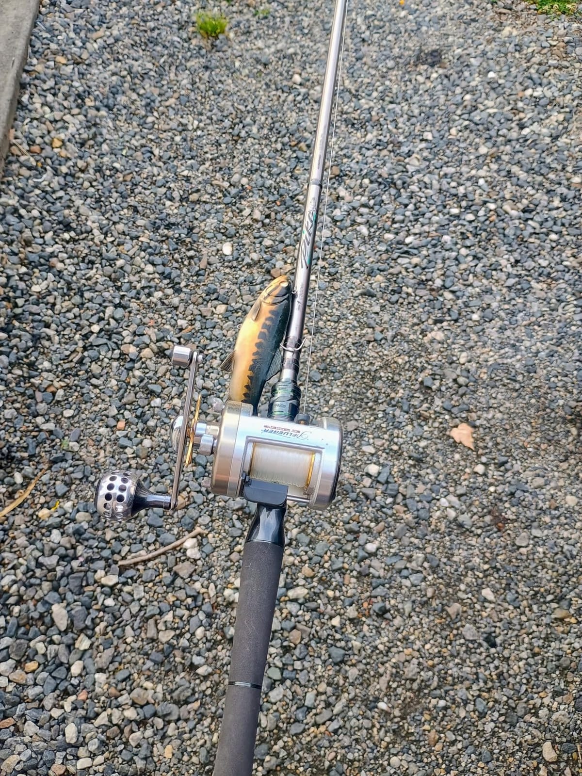 HANDING M1 Pike Heavy Casting Rod 2-Piece Musky Rod Swimbait Rod | Heavy Fishing Rod for Pike Musky Catfish Striped Bass Freshwater Big Bait Rod customer photo 2