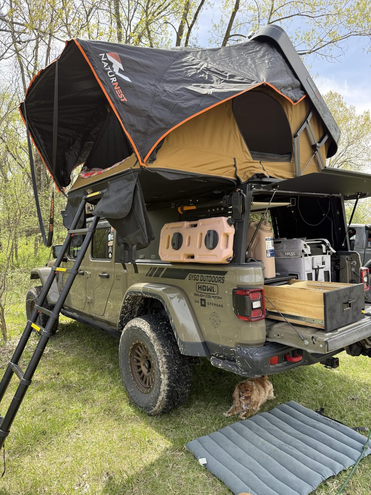 Naturnest Rooftop Tent Hard Shell, Easy Set Up Pop Up Large Tent for 2-4 Person Camping, Waterproof UV-Resistant Blackout Privacy 4 Season Tents for Truck, Jeep, SUV, Van, Trailer - Sirius 2 Series customer photo 2