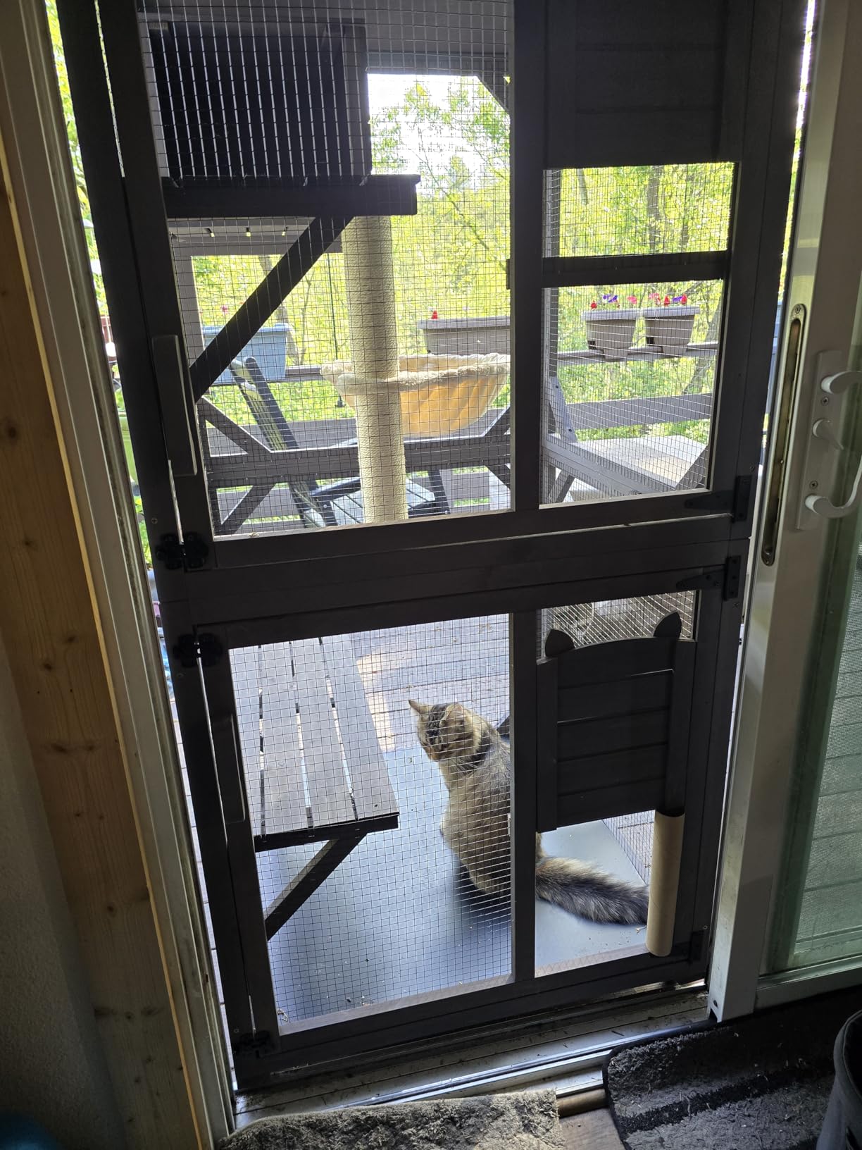 Aivituvin Cat Catio Outdoor Cat House Movable Large Enclosures on Exercise Wheels Kitty Cage with Upgraded Resting Box, Waterproof Cover customer photo 1