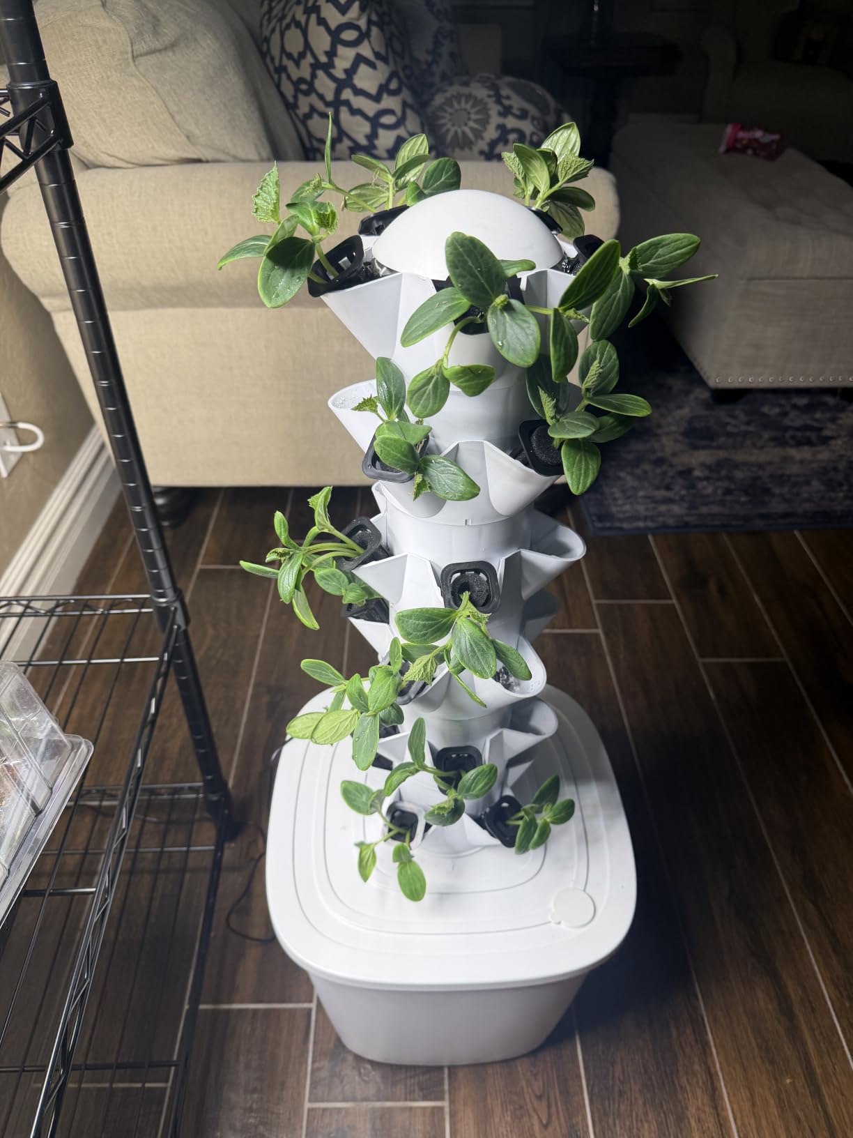 Patigrow 60-Cell Self-Watering Seed Starter Tray with Grow Light, Seed Starter Kit with 4.07