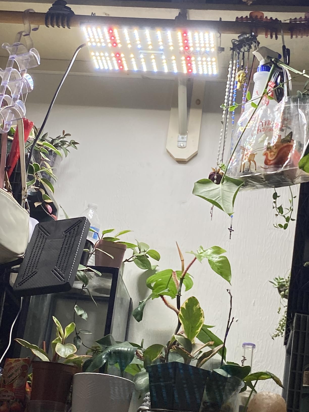 VIPARSPECTRA P700 Grow Light, 70 Watt Dimmable Full Spectrum Plant Light, LED Grow Lights for Indoor Plants Seed Starting Seedlings Vegetable,11000 Lumens Small Hanging Growing Lamp for 2x2 Grow Tent customer photo 1