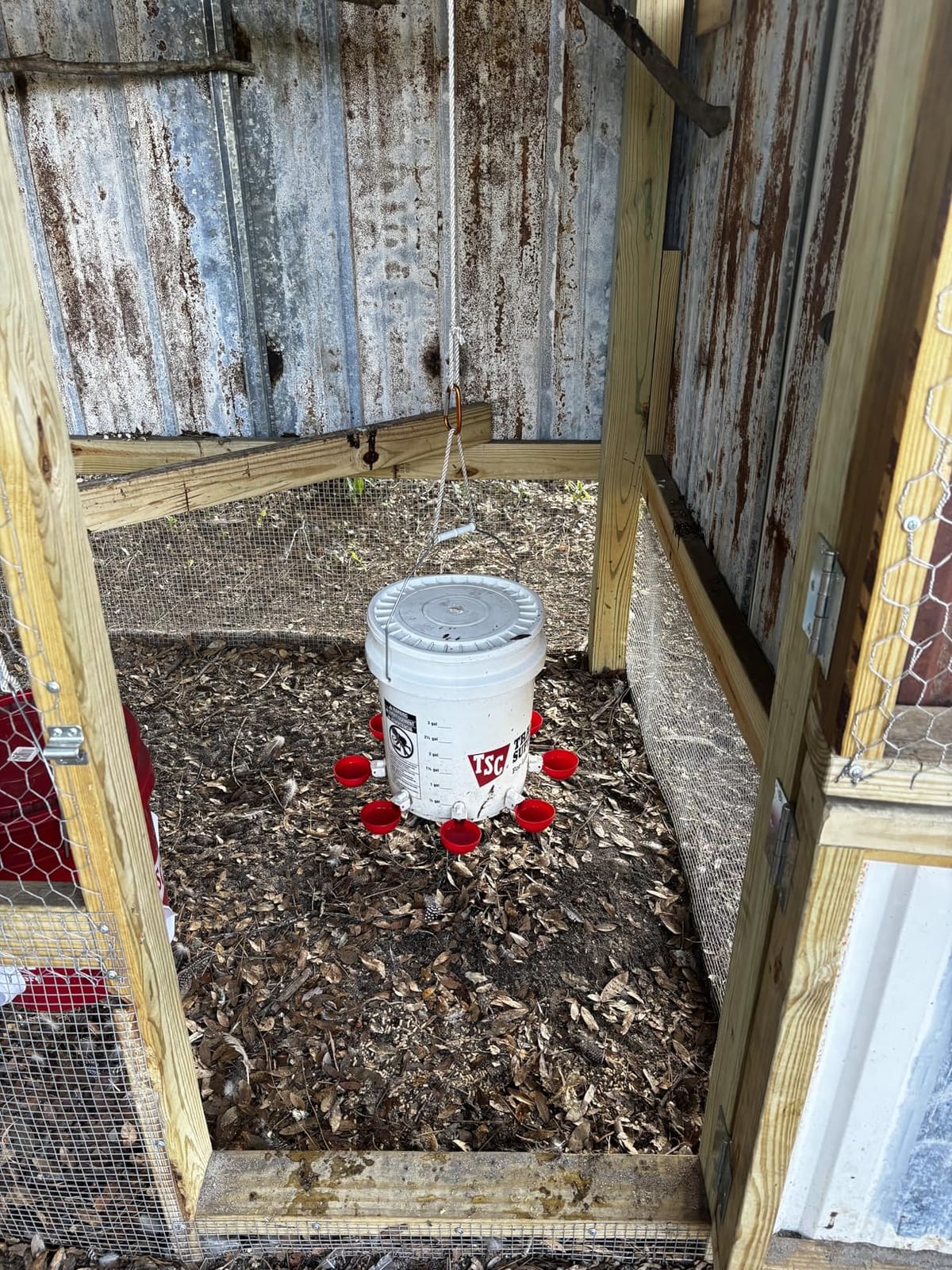 Chicken Waterer Cups, Automatic DIY Chicken Water Bowl 6 Pack | Chicken Flock Waterer Cups with 3/8