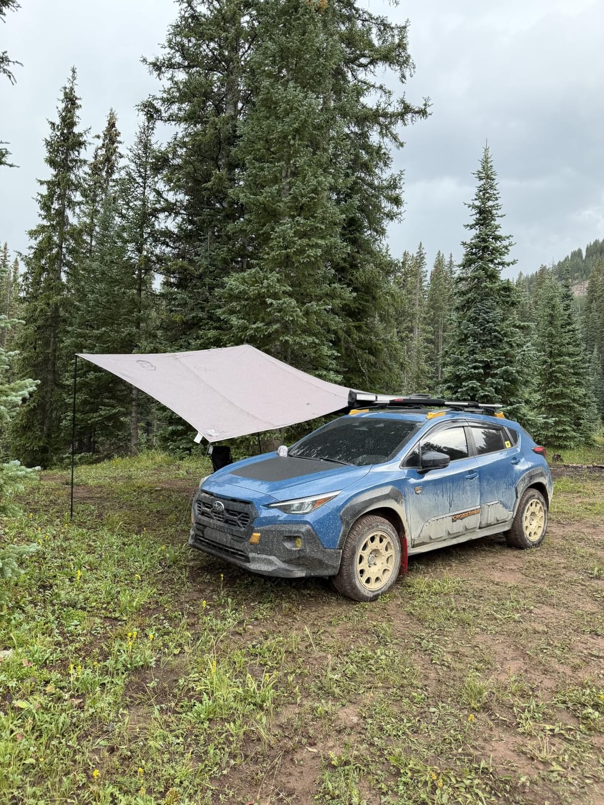Timber Ridge Blackout Coating Car Awning, 19x9.8ft, Grey | Retractable Roof Rack, Pull-Out Sun Shade Overland Camping, Waterproof Sun Shelter, For Vehicle/Truck/Jeep/SUV/Van customer photo 1