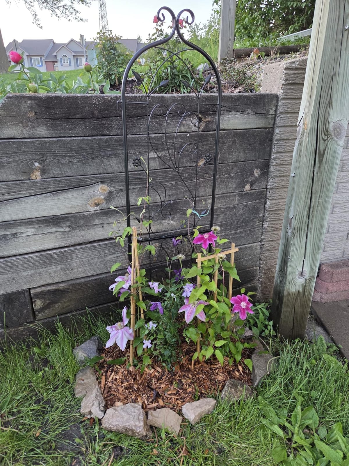 VEVOR Garden Trellis for Climbing Plants, 87 x 20 in, 4 Packs Rustproof Metal Garden Flower Rose Trellis, Outdoor Climbing Clematis Trellis Cucumbers Support for Courtyards Lawns customer photo 2